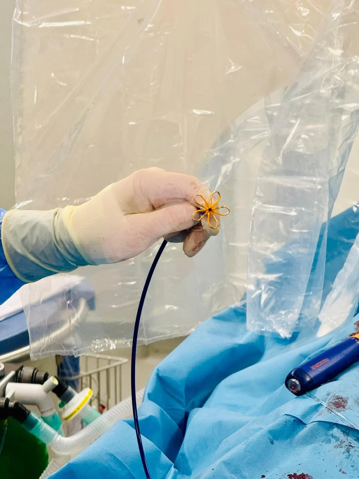 WhatsApp Image 2024-11-02 at 12.28.51.jpeg