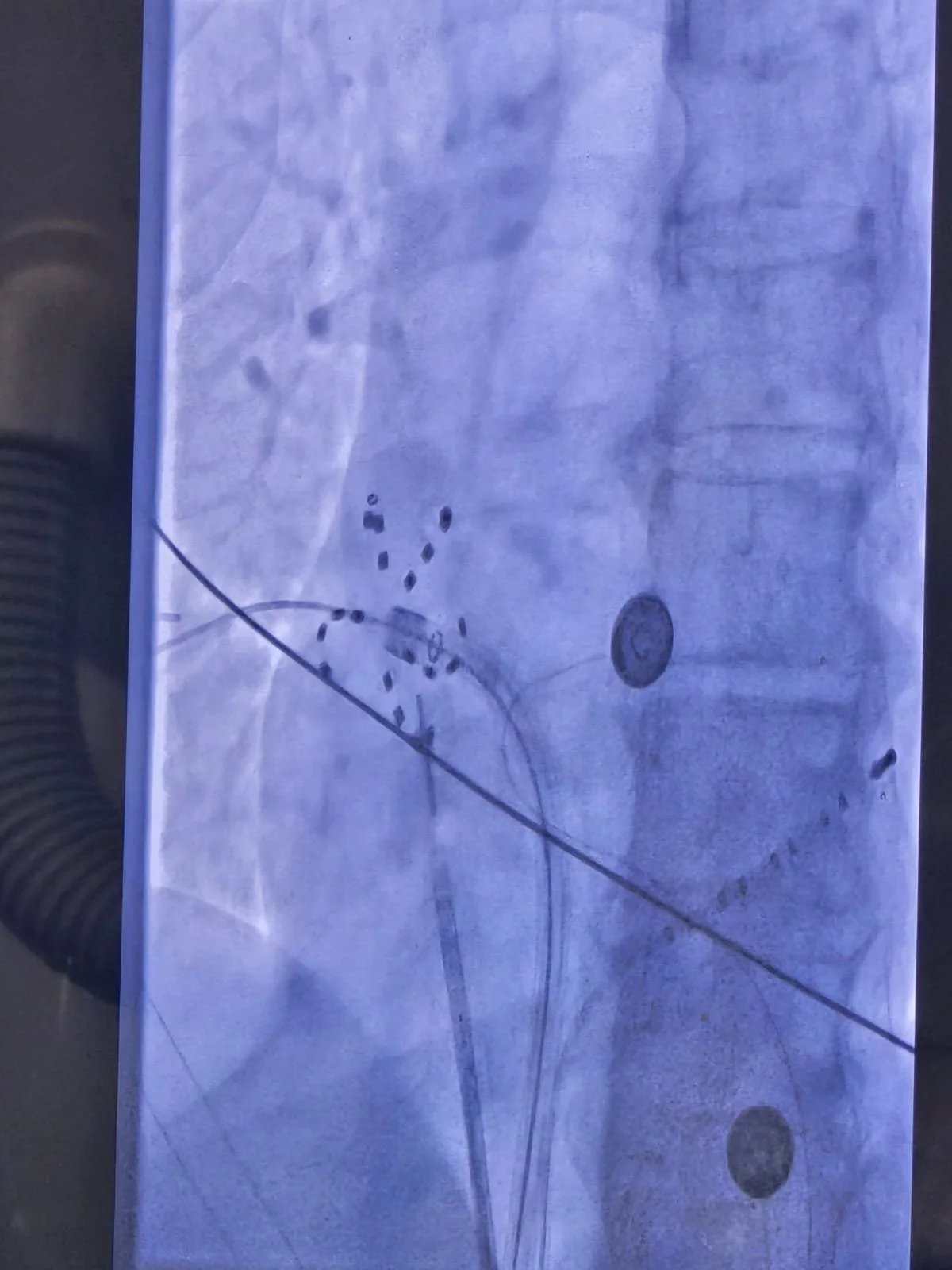 WhatsApp Image 2024-11-02 at 12.28.56.jpeg