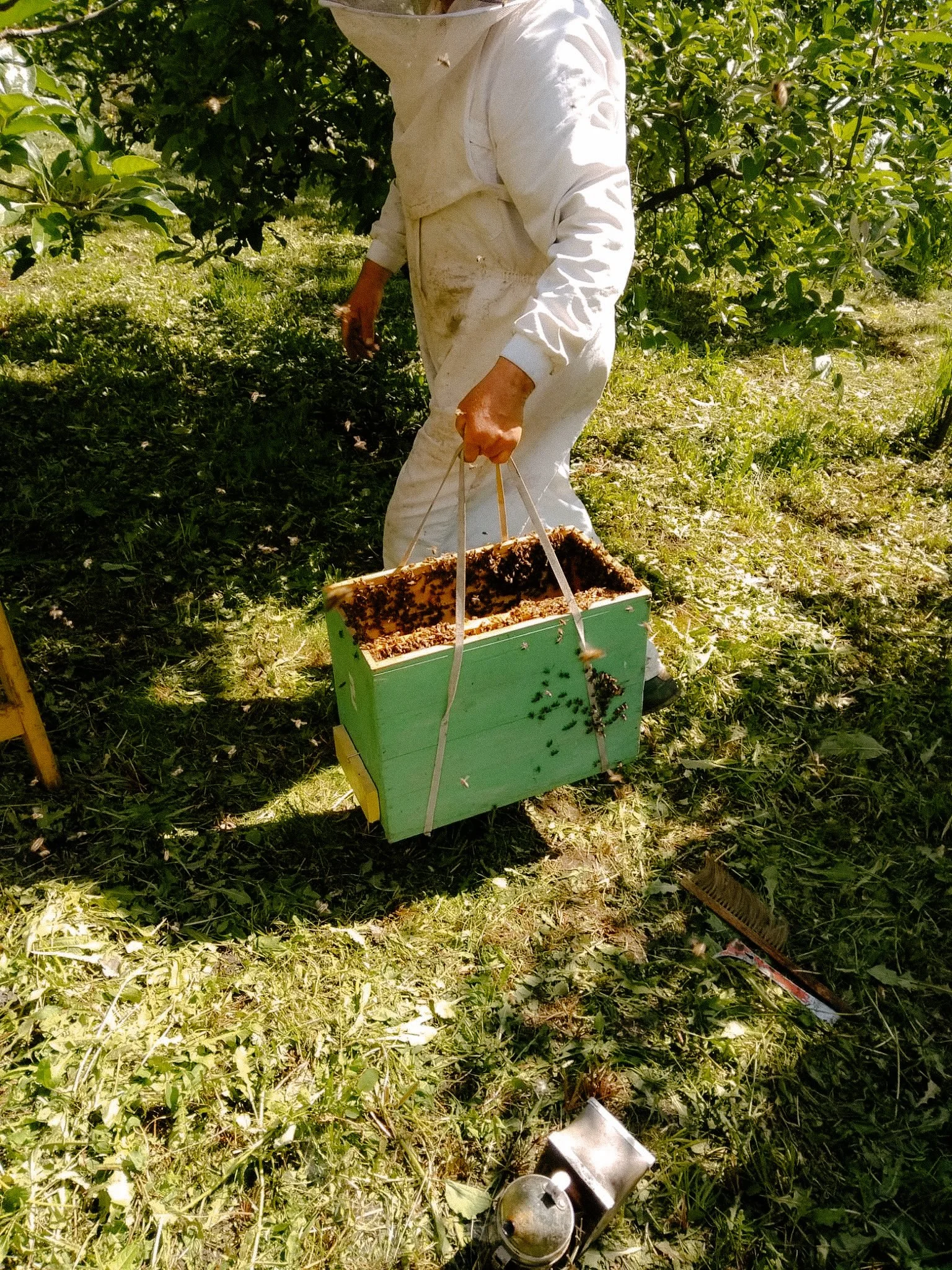 f90230ed-8b9c-47c2-ac1d-aecb0ad78a64 2.JPG