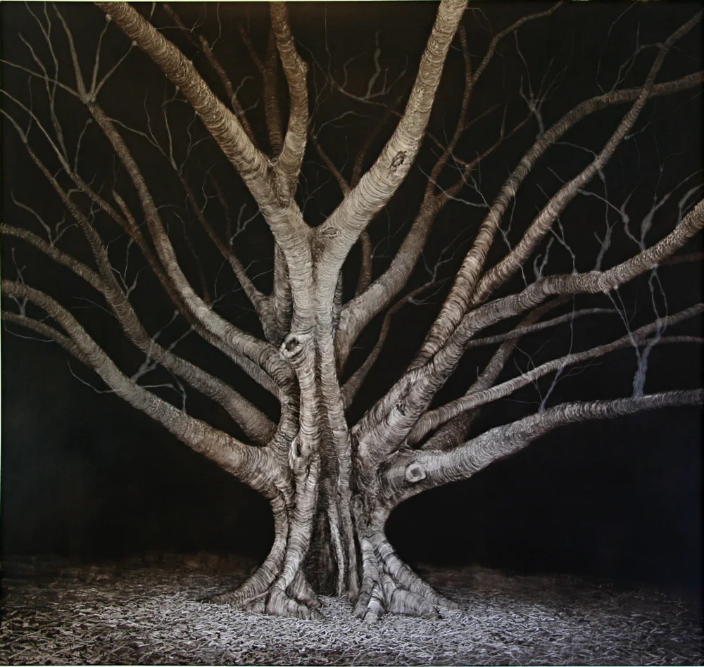 Wounded Night Fig, 2006. Oil on Paper. 97cm x 97cm.