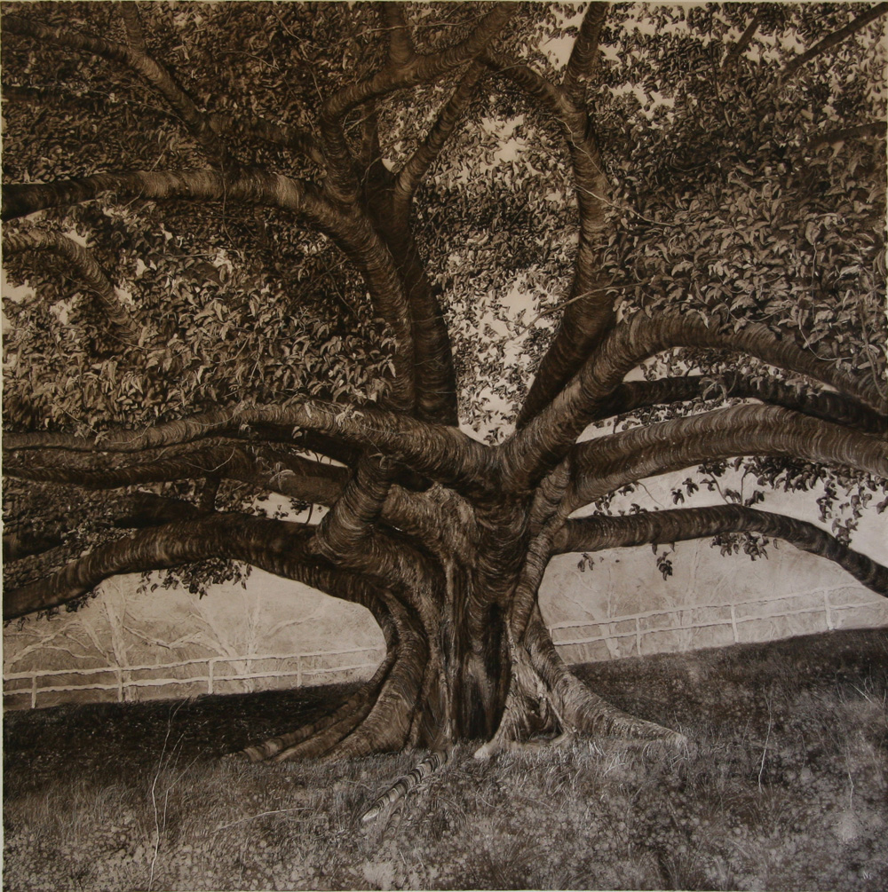 Fig with Undergrowth of Weeds, 2006. Oil on paper. 79cm x 80.5cm .