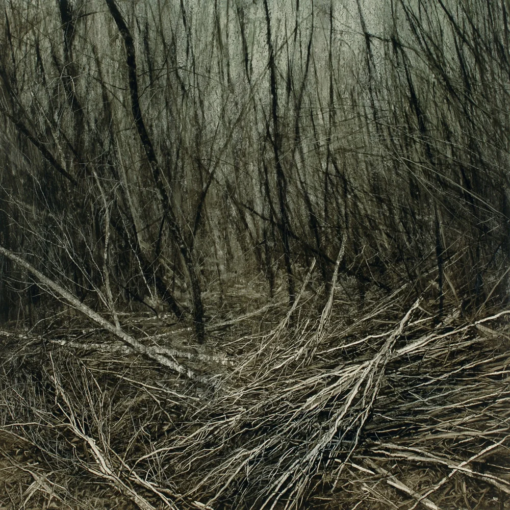 A Carpeting of White Trees, 2007. Oil on paper. 92cm x 92cm.