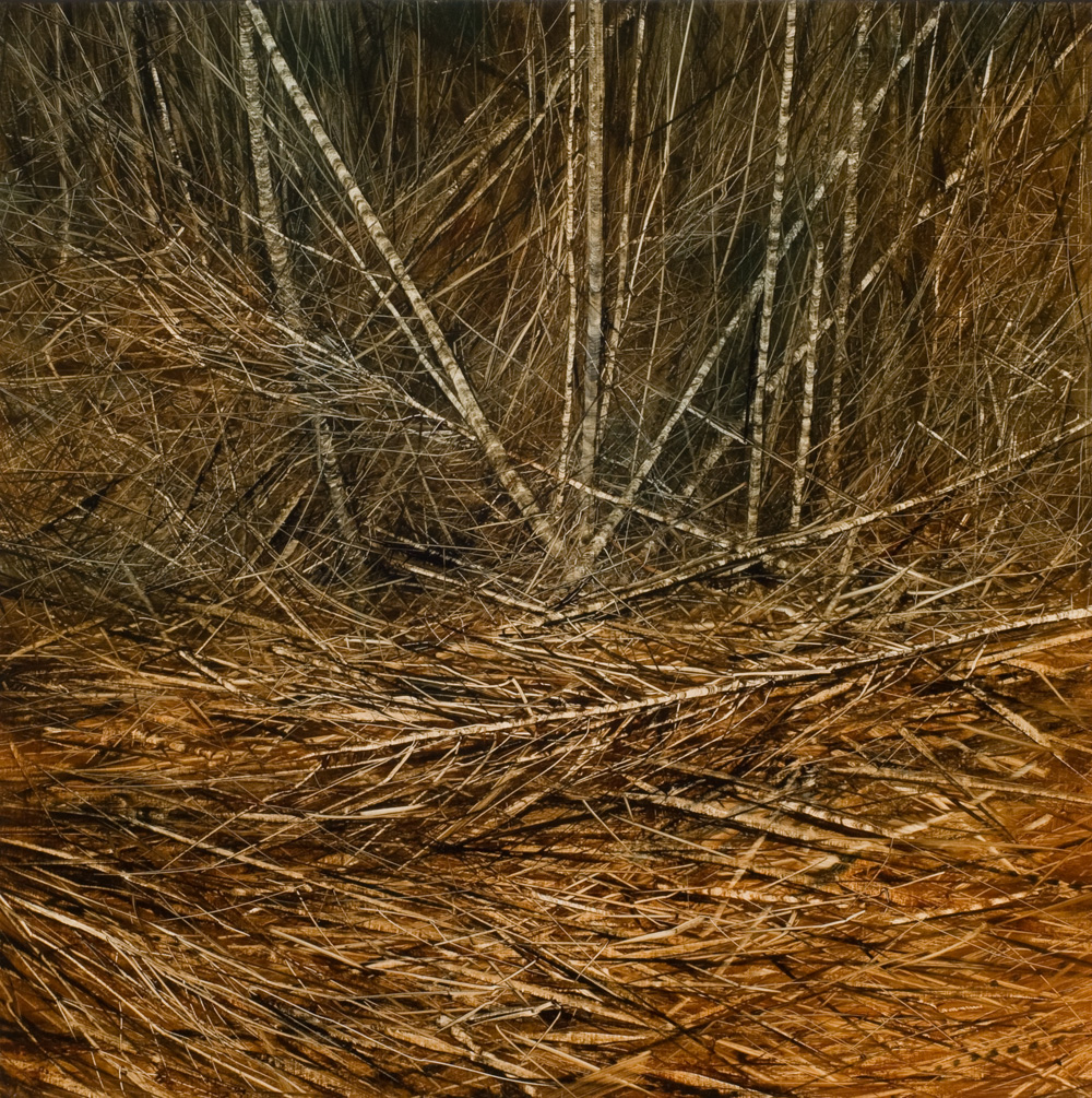 Collapsed Regrowth III, 2010. Oil on canvas. 75cm x 75cm.