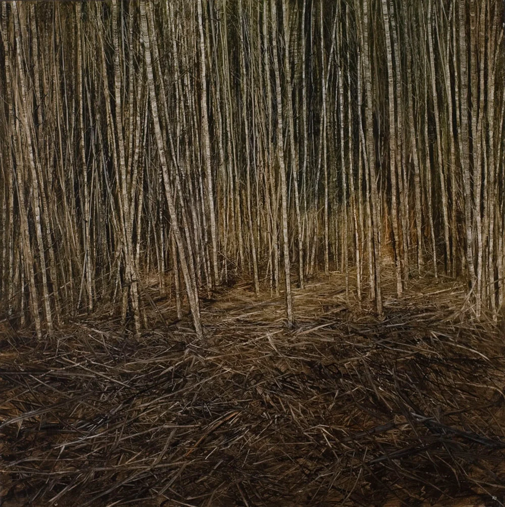 Early Morning Light, 2009. Oil on canvas. 75cm x 75cm.