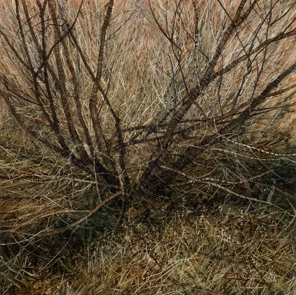 Willow Gully Treeform II, 2010. Oil on canvas. 120cm x 120cm.