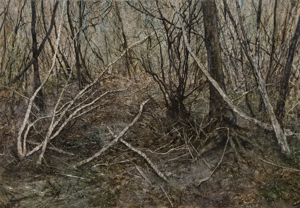 Paperbark Debris II, 2008. Oil on canvas. 90cm x 130cm.