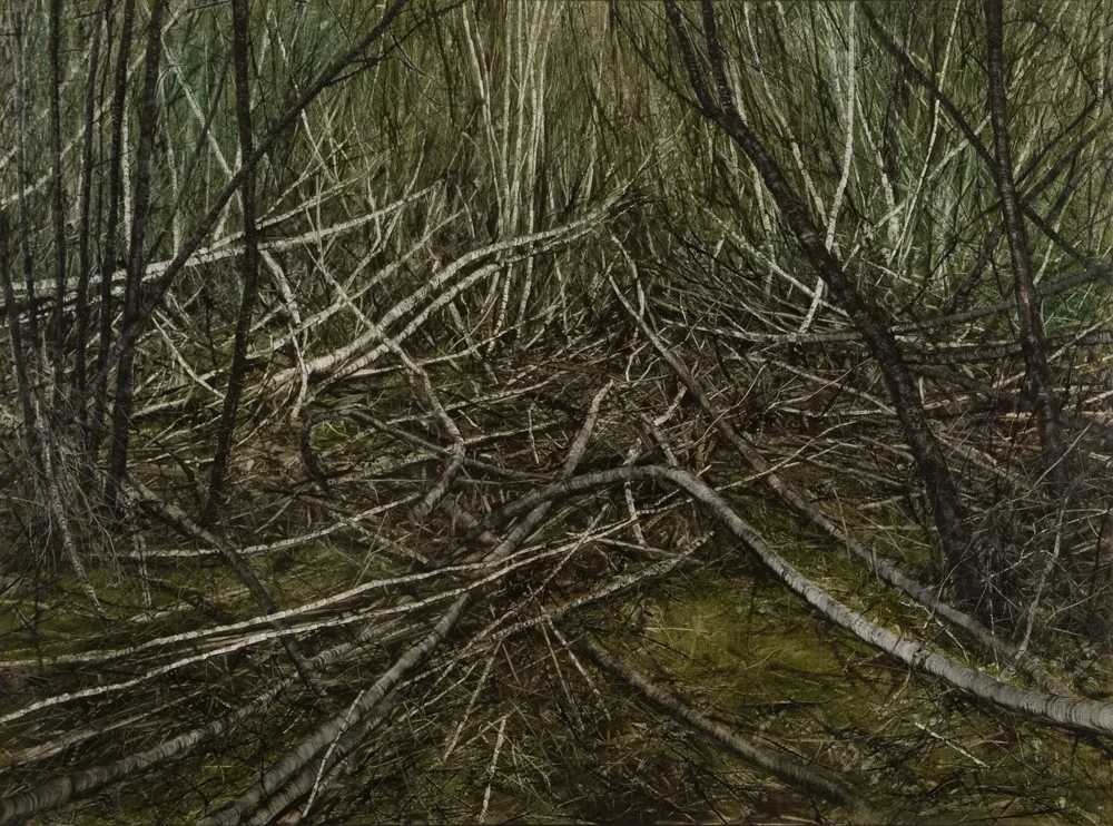 Narcissus No.6, 2008. Oil on canvas. 96cm x 130cm.