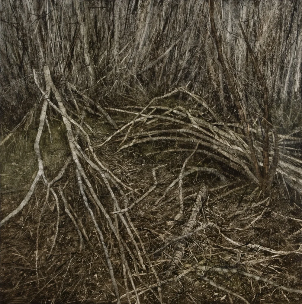 Narcissus No.9, 2008. Oil on canvas. 100cm x 100cm.