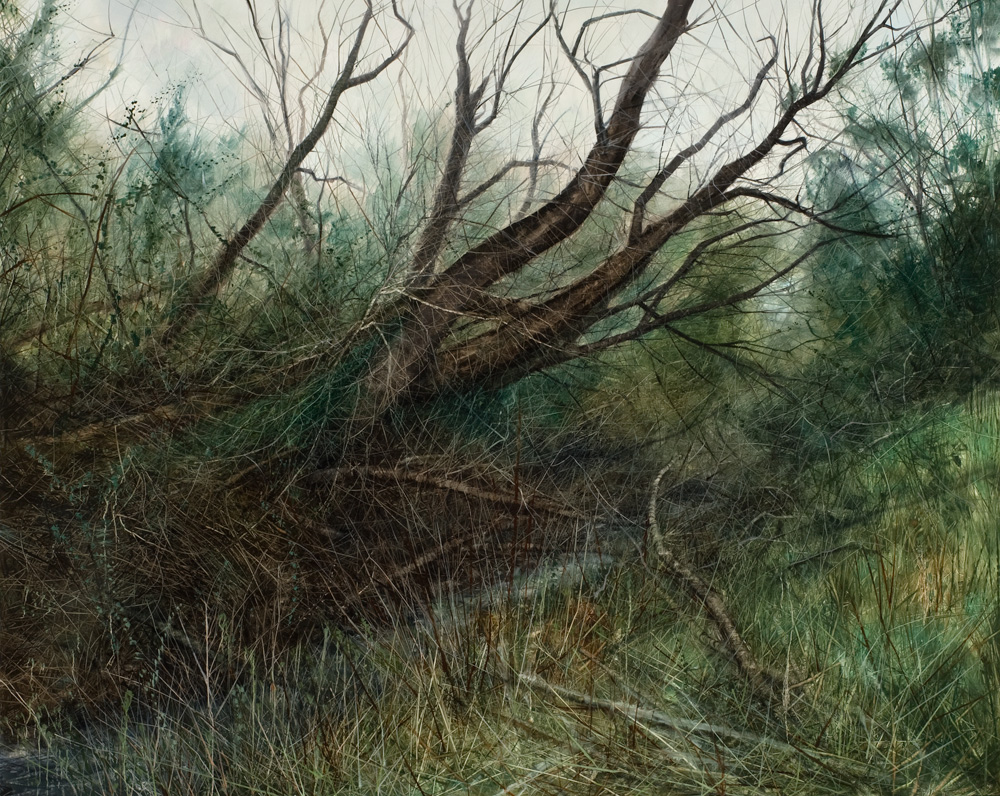 Collapsing Willow, 2011. Oil on canvas. 120cm x 150cm.