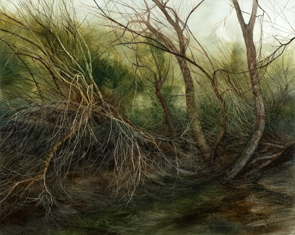 Winter Willow I, 2011. Oil on canvas. 120cm x 150cm.