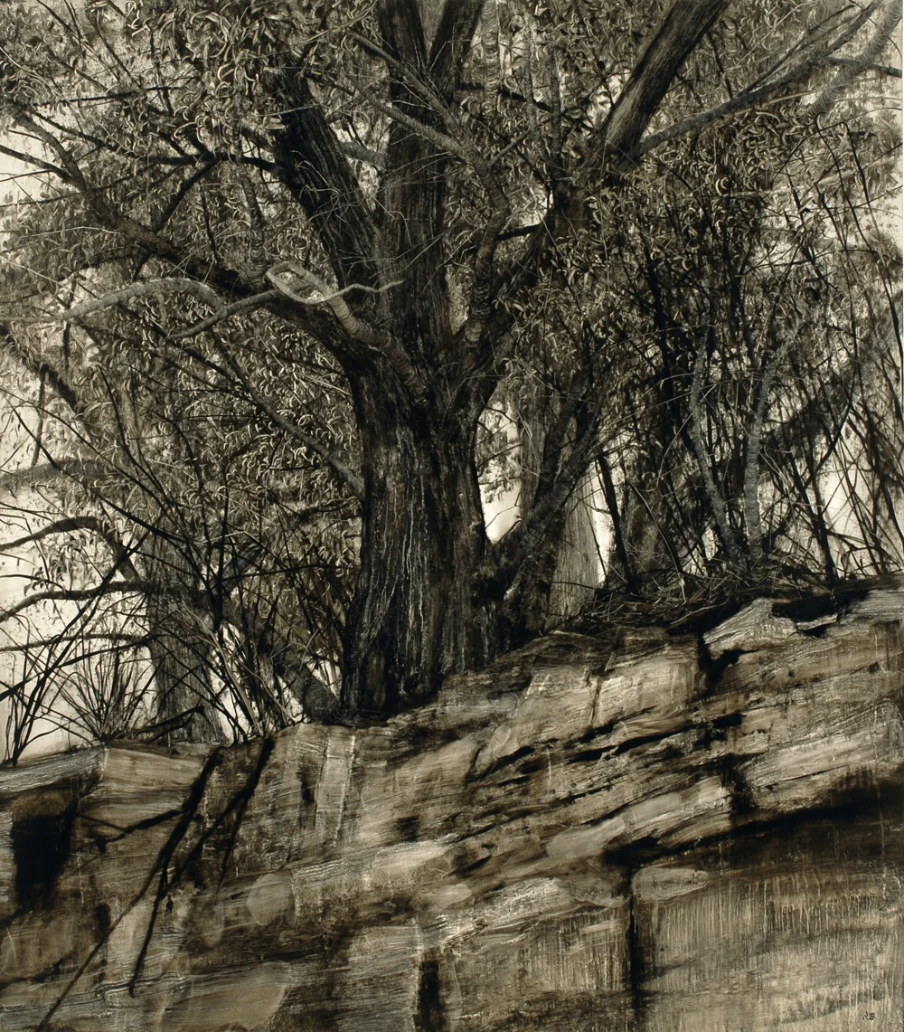 Charred Gum, 2007. Oil on paper. 105cm x 92cm