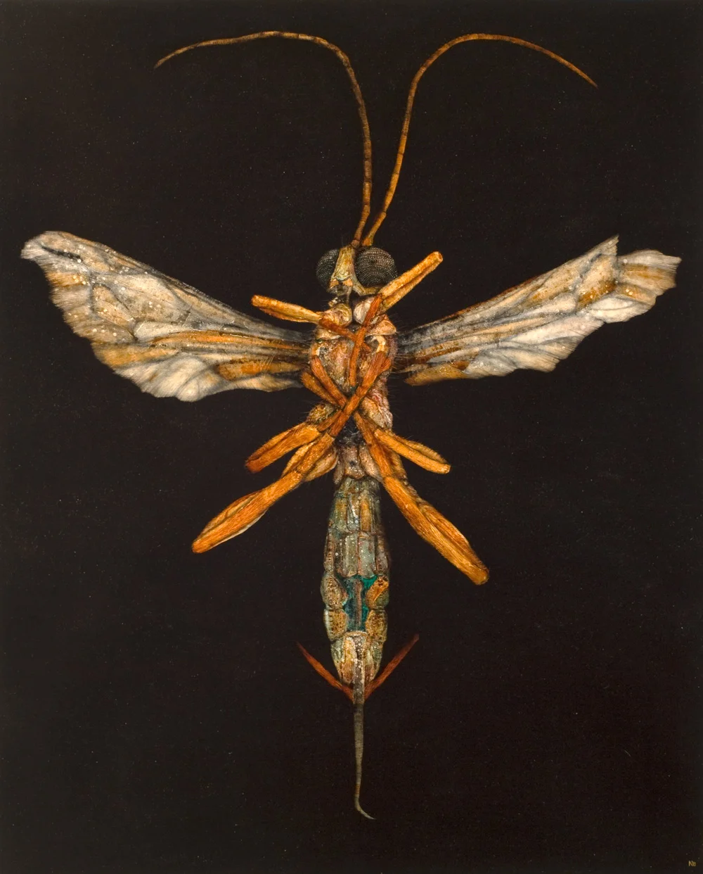 Angel I, 2012. Oil on paper. 104cm x 85cm.