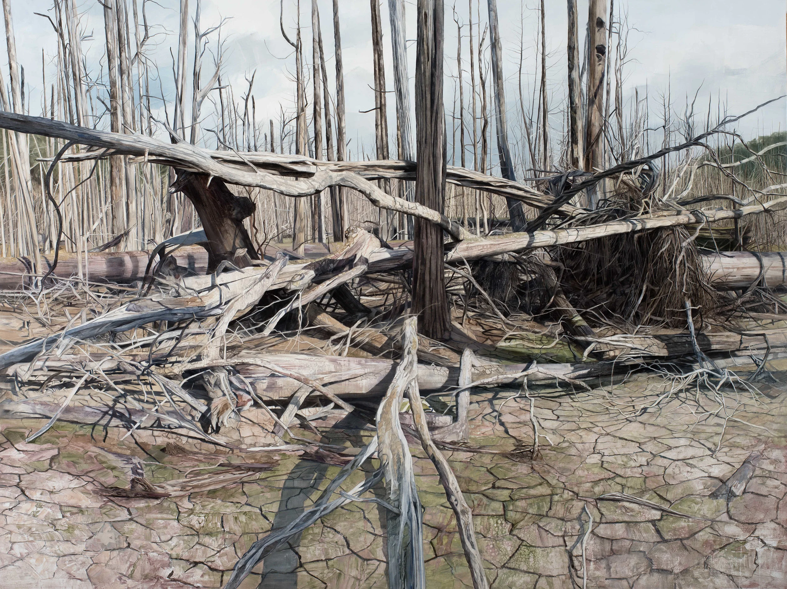 Debris Drift, 2017, oil on canvas, 154cmx204cm