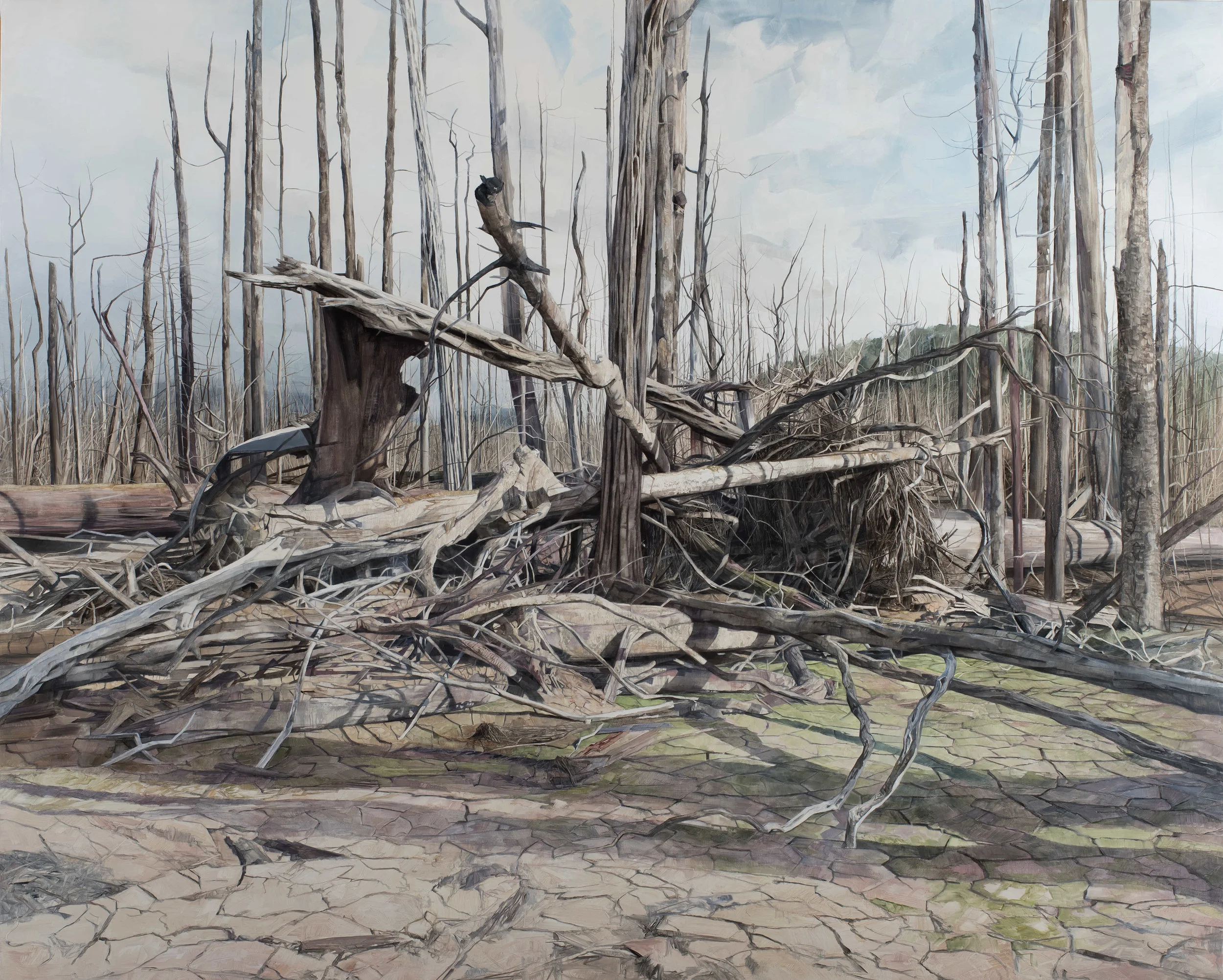 lakebed Ruin, 2017, oil on canvas, 164cmx204cm