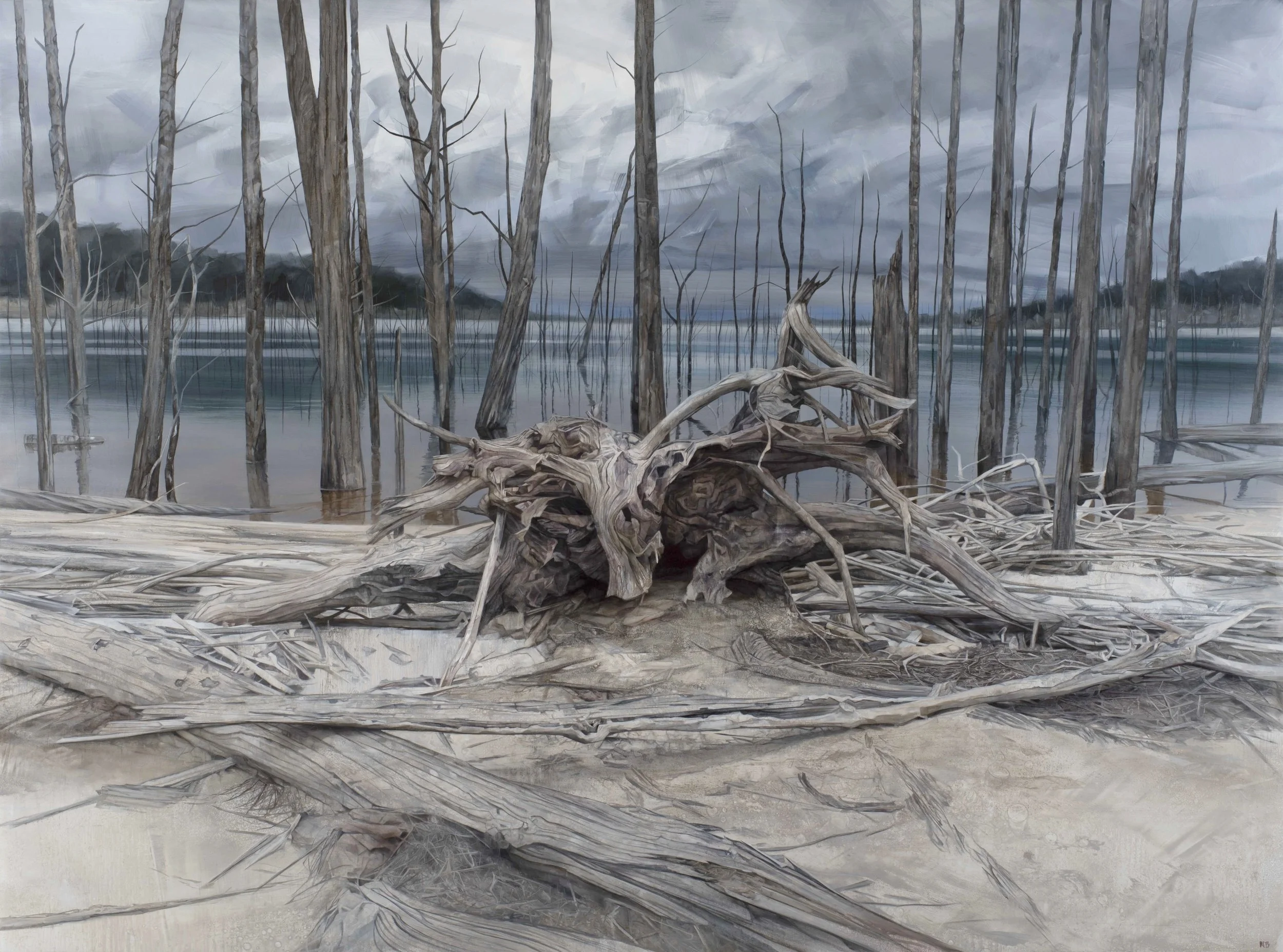 Lake Gordon Relic, 183cmx244cm, oil on canvas, 2017