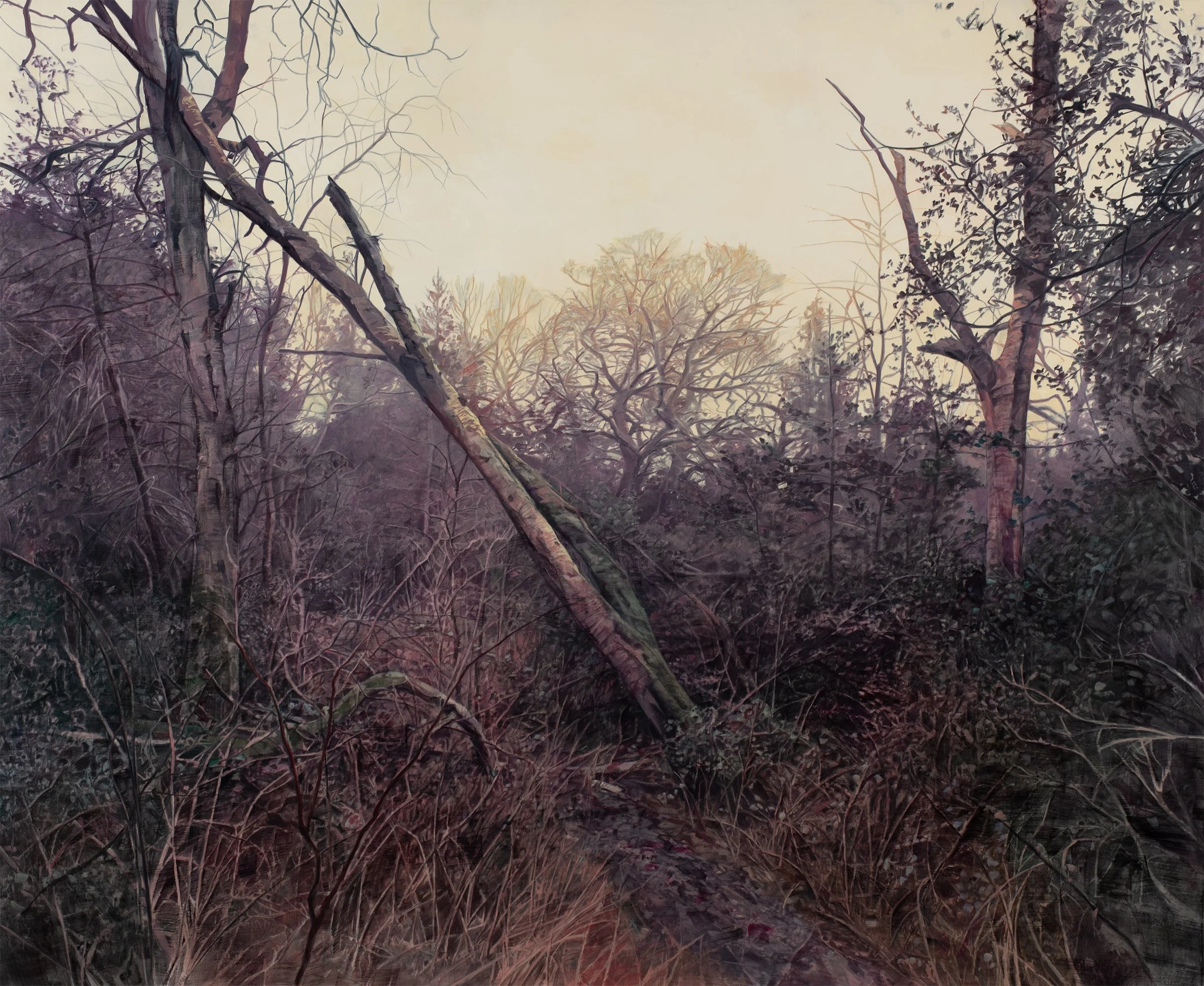 Path through a wood, 167.5x204cm, oil on canvas,2024