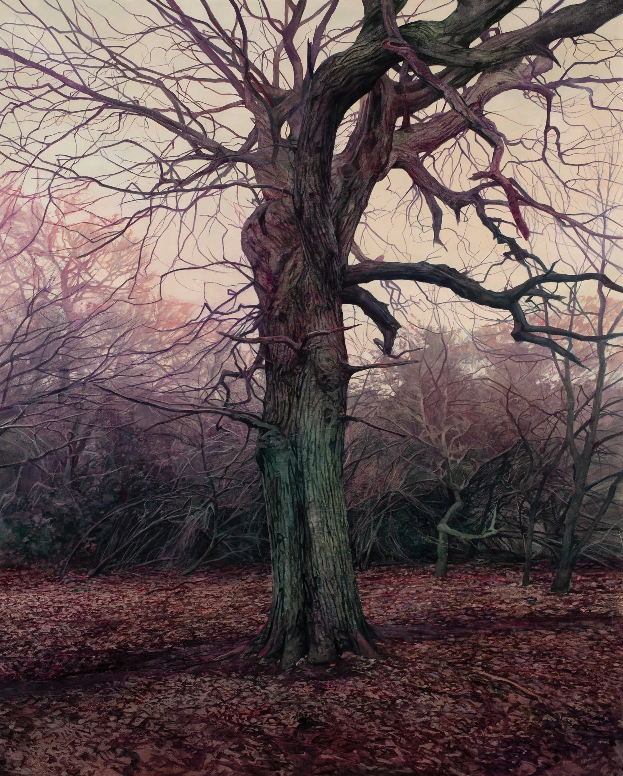Winter Oak, 164cmx204cm,oil on canvas, 2024