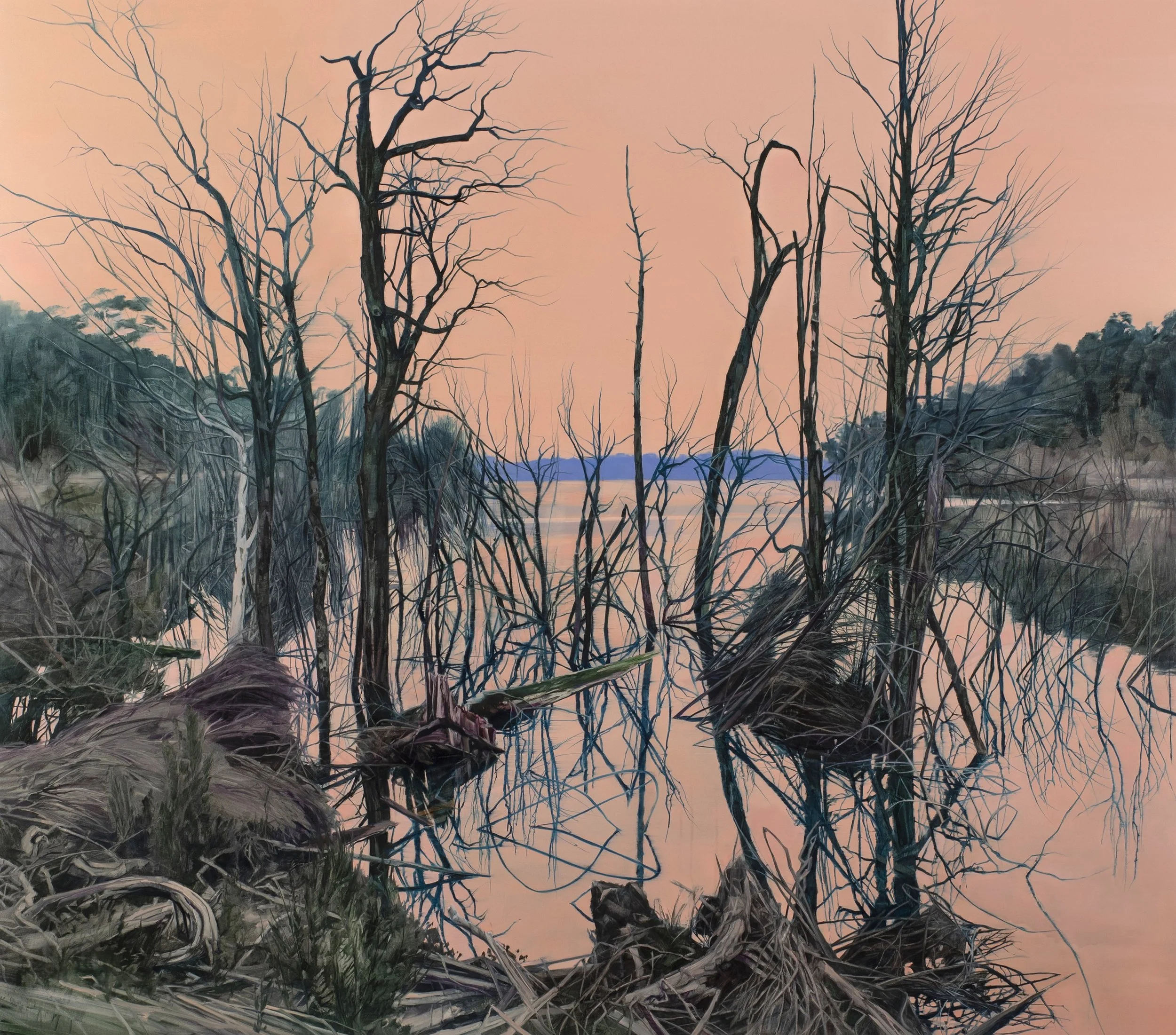 Tailings pond at first light