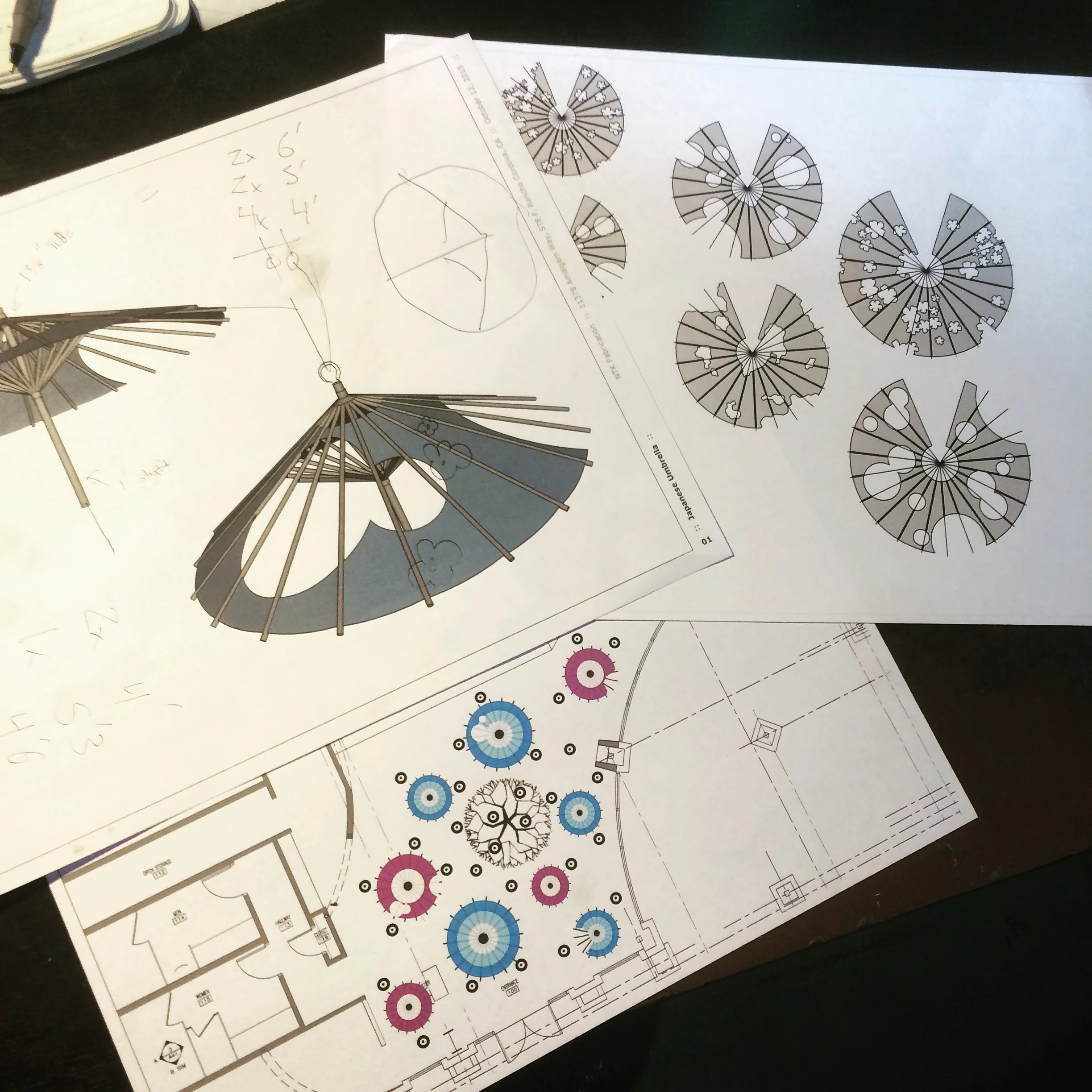 IMG_5966.JPG