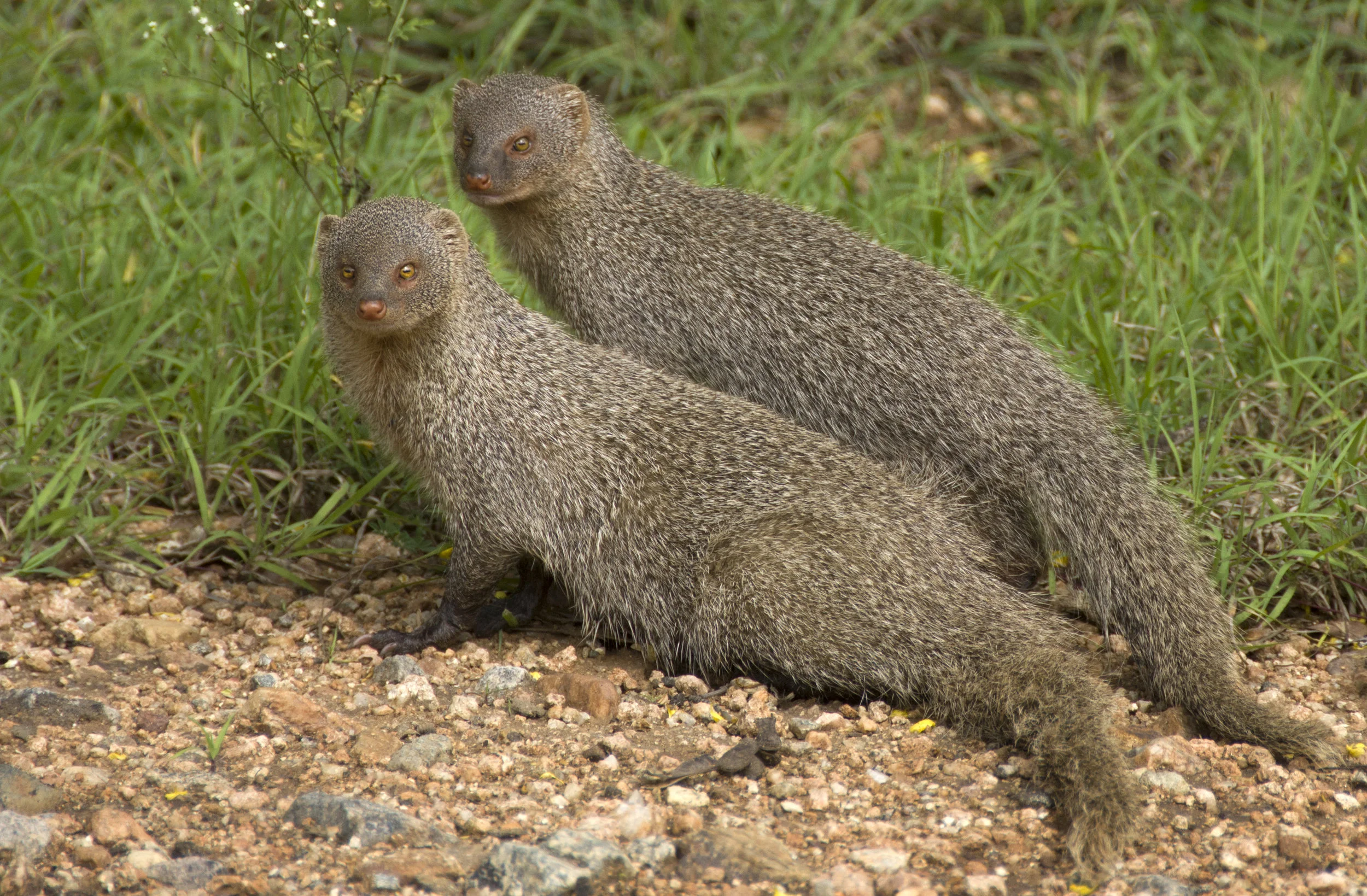DSC_3972.jpg