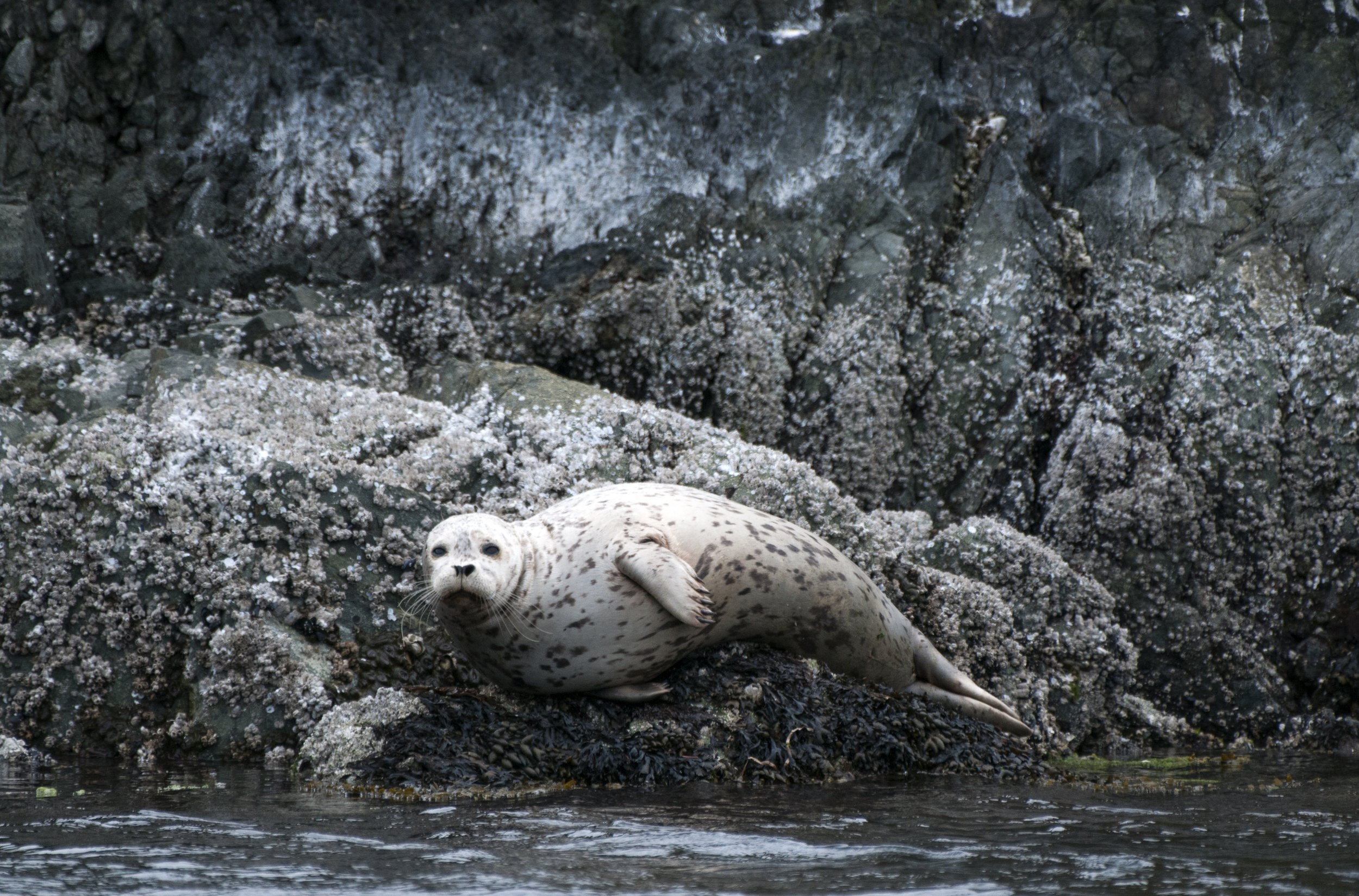 _DSC7104+copy.jpg