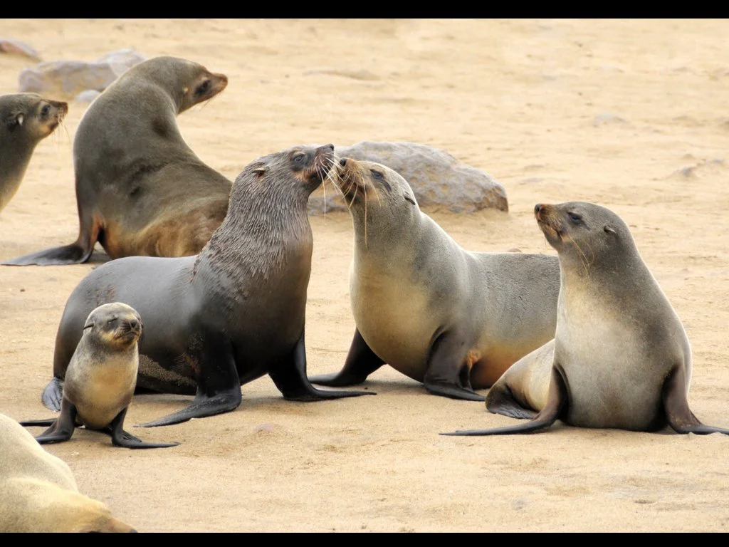 Kartiki portfolio.044.jpeg