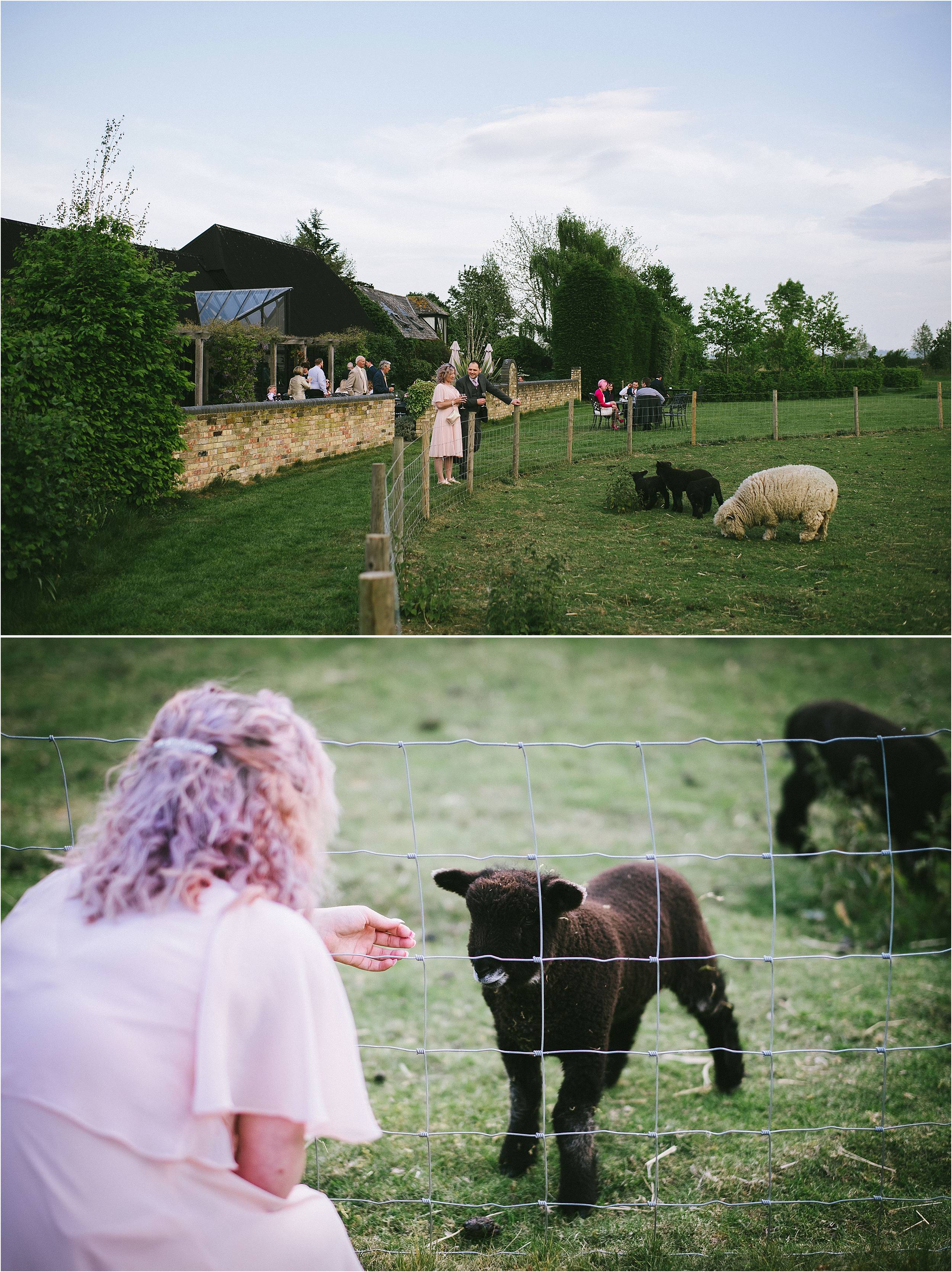 Cambridge Wedding Photographer_0169.jpg