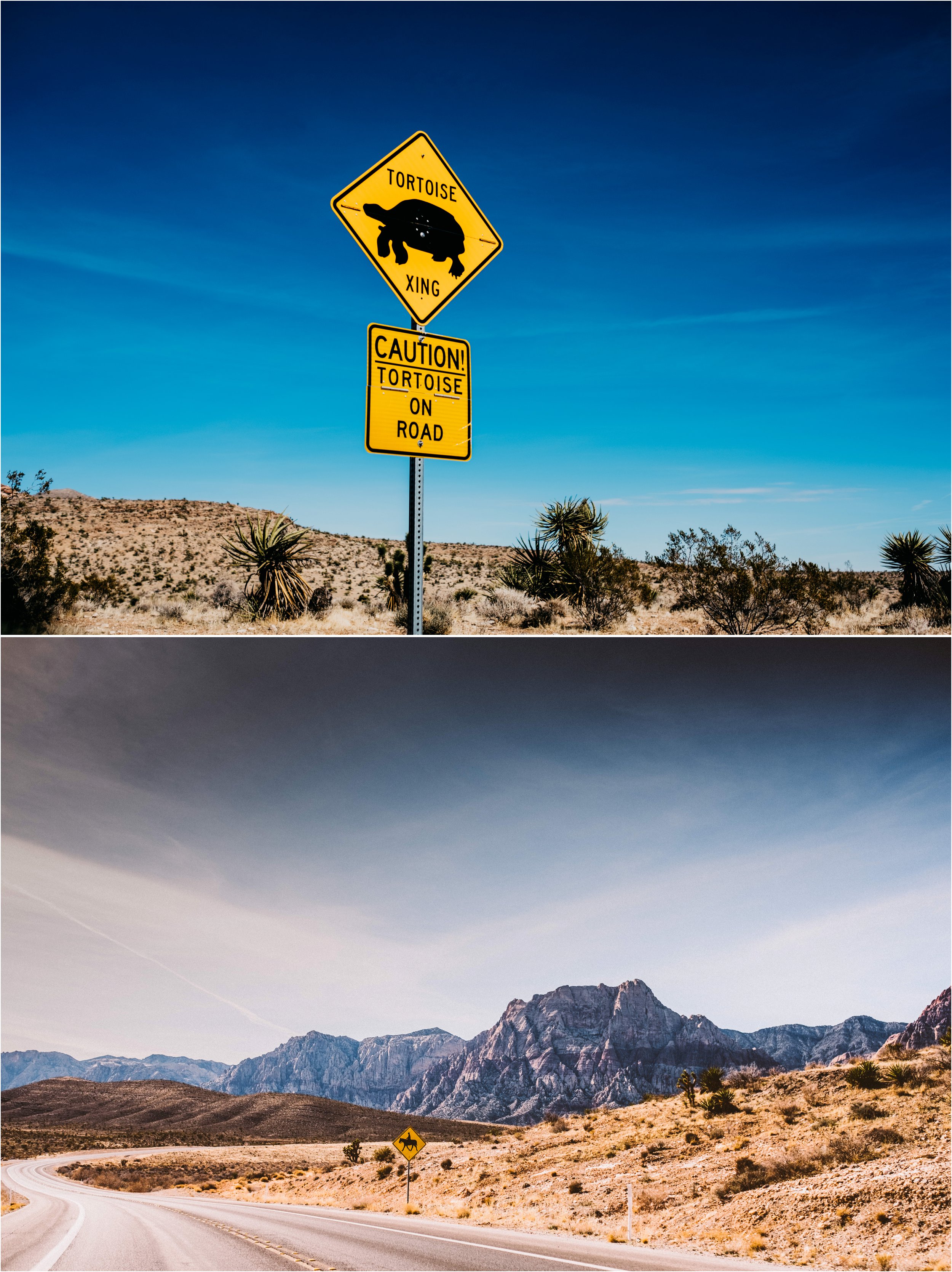 Vegas elopement destination wedding photographer_0012.jpg