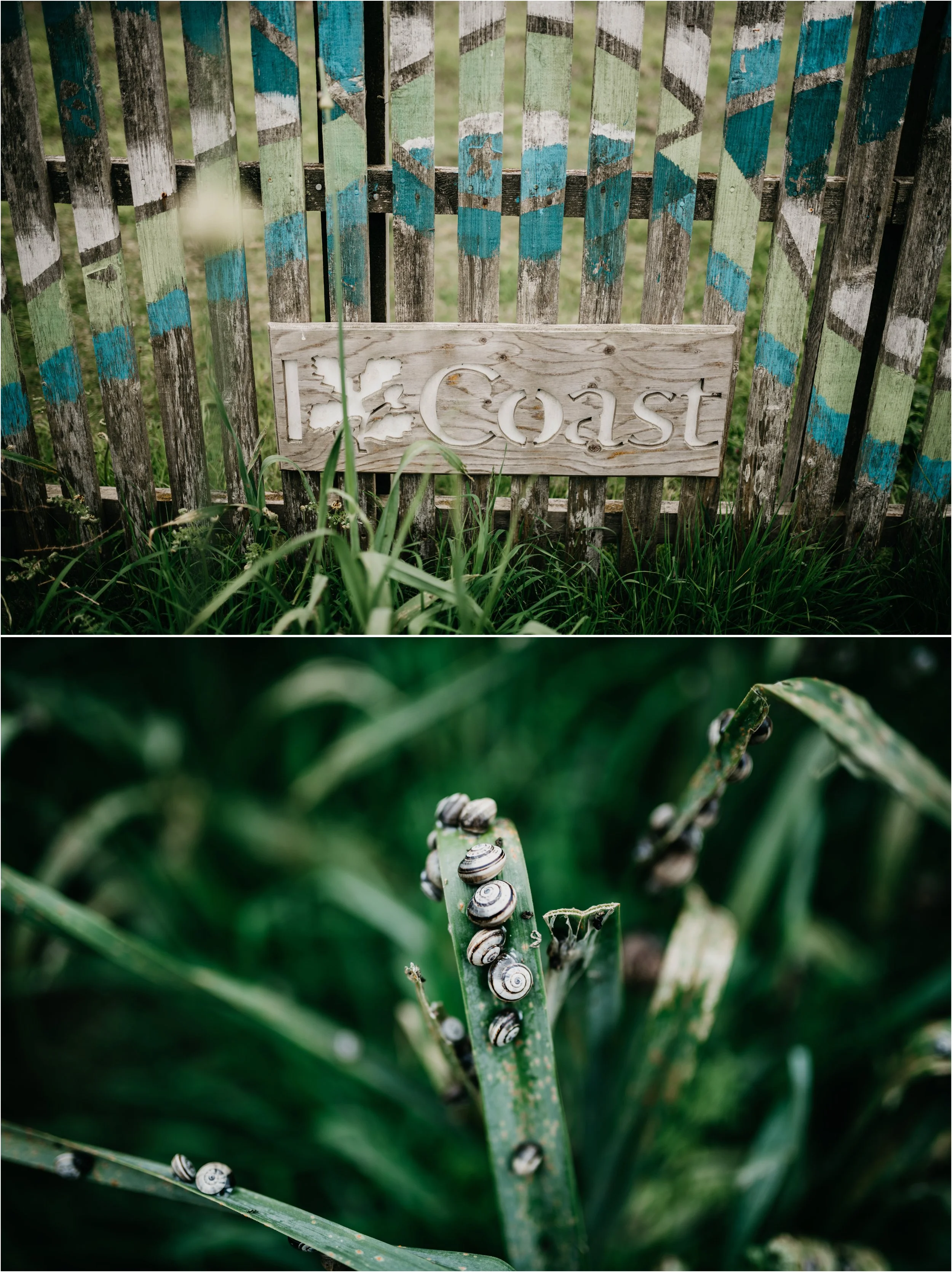 Cornwall wedding photographer_0033.jpg