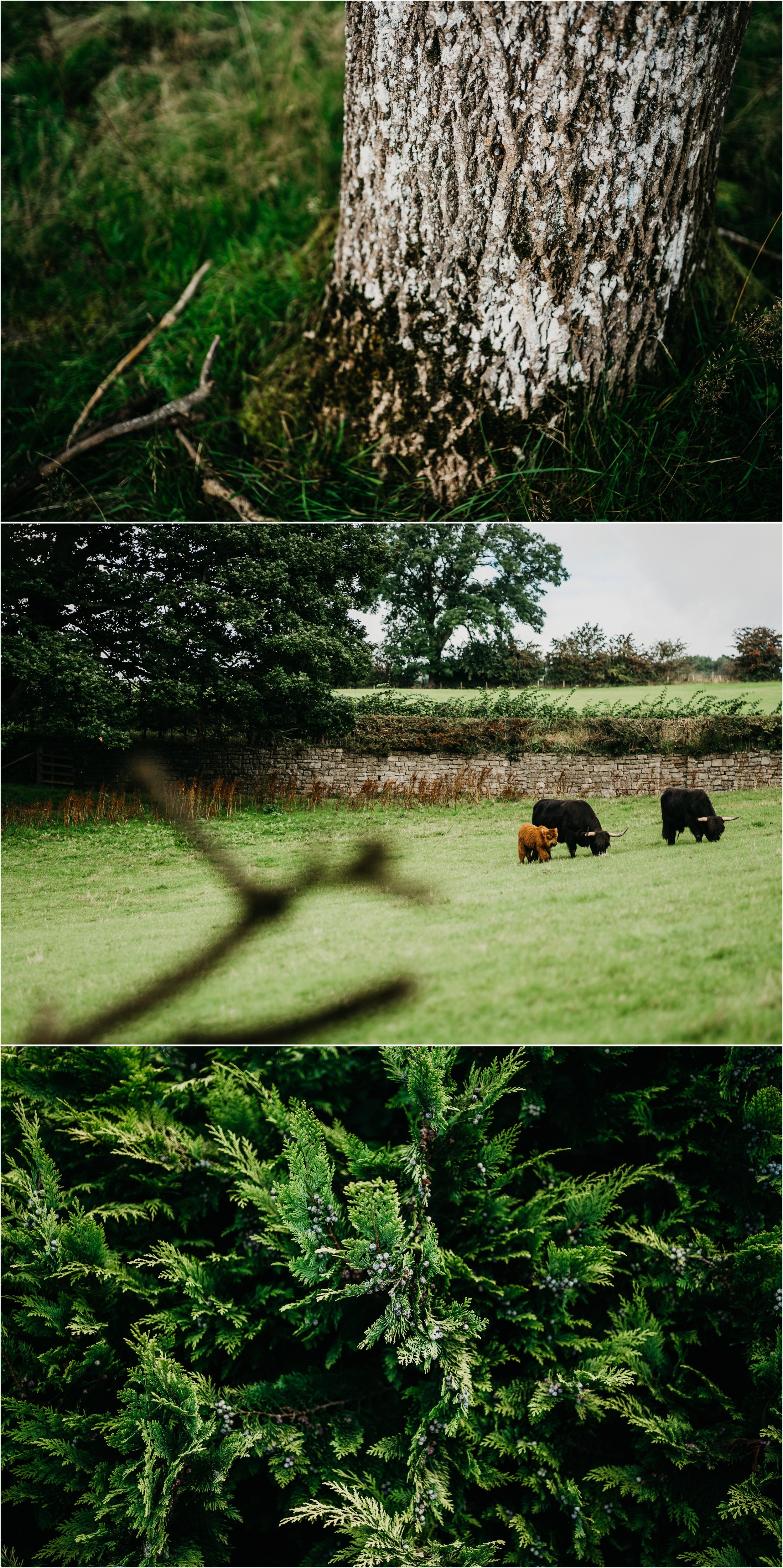 Lake District wedding photographers_0022.jpg