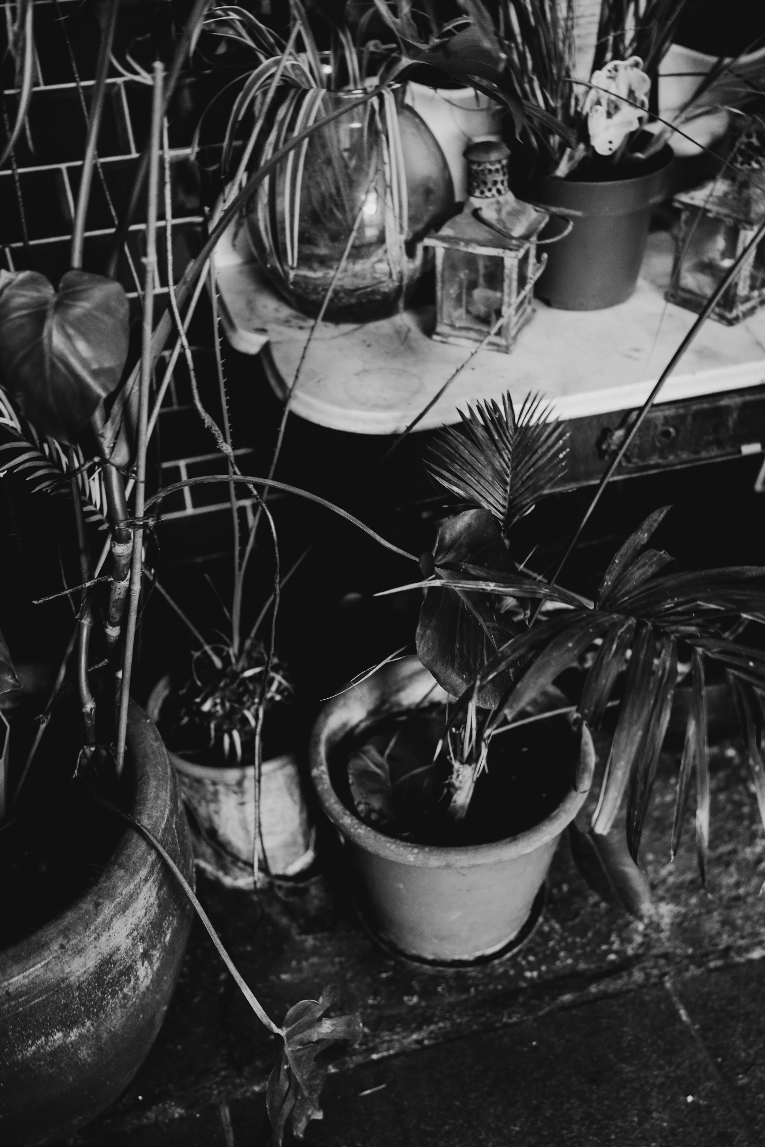 My favourite lens for wedding photography-108.jpg