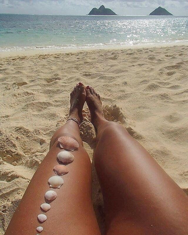 I am not shellfish, I will always share my sea shells on the sea shore. 😉
#seashells 
#loverofthesea 
#shellfish 
#silly
#dontbeselfish 
#beachdreamer
#shareyourshells 
#beachlover 
#beachwear 
#shells 
#tanned
#hawaii 
#nostaligia