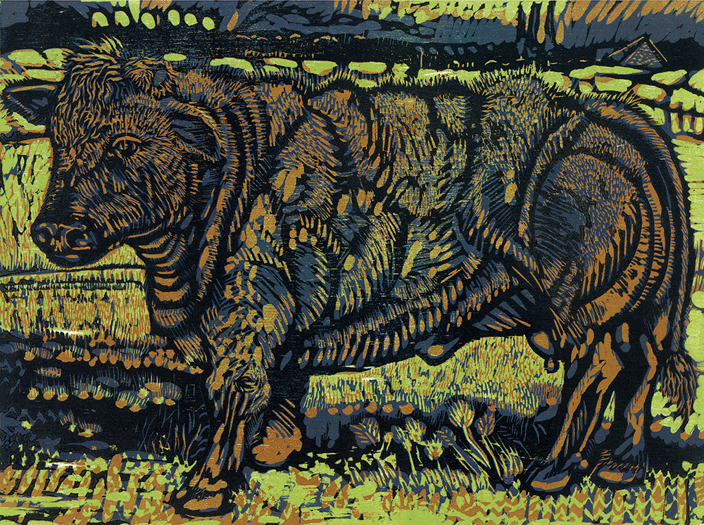Belgian Cow woodcut 12 x 16