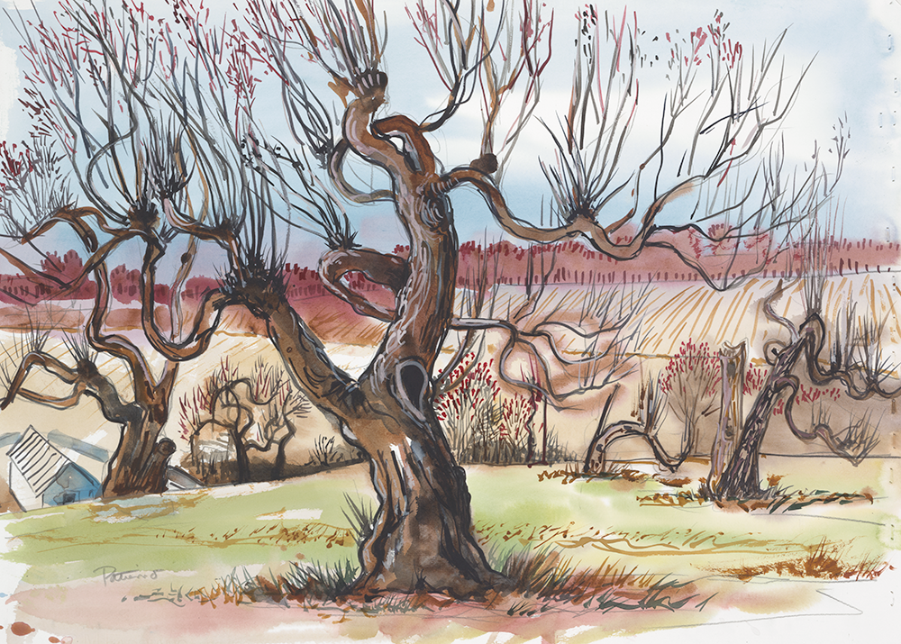 Abandoned Orchard watercolor 22 x 30
