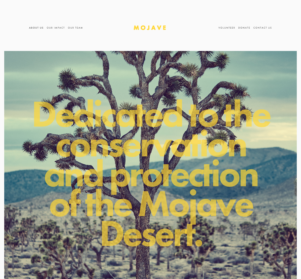 Mojave (Brine)