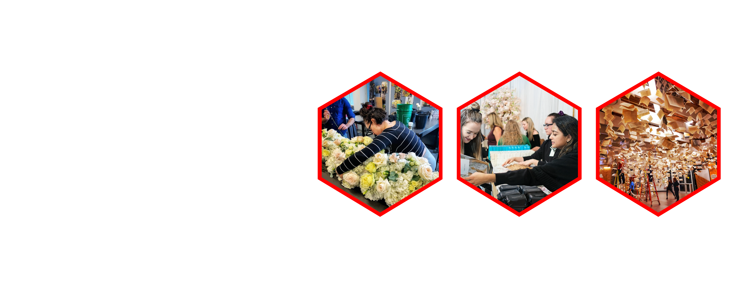 Resume banner image.png