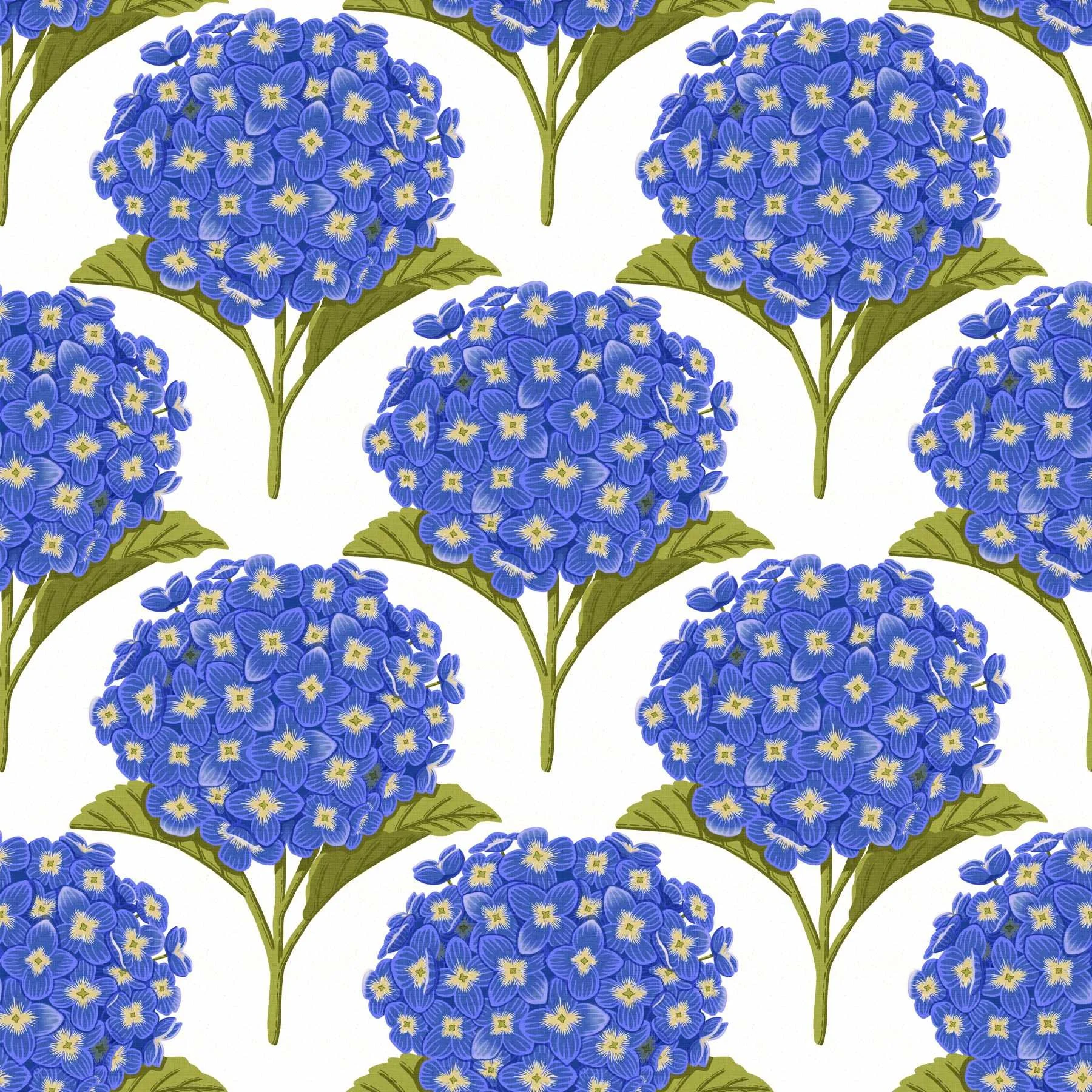 A seamless pattern of blue hydrangea blossoms arrange in a scallop pattern on a white background.