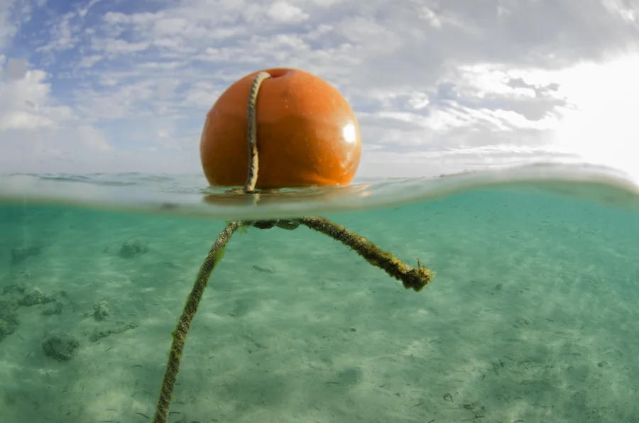 Buoy