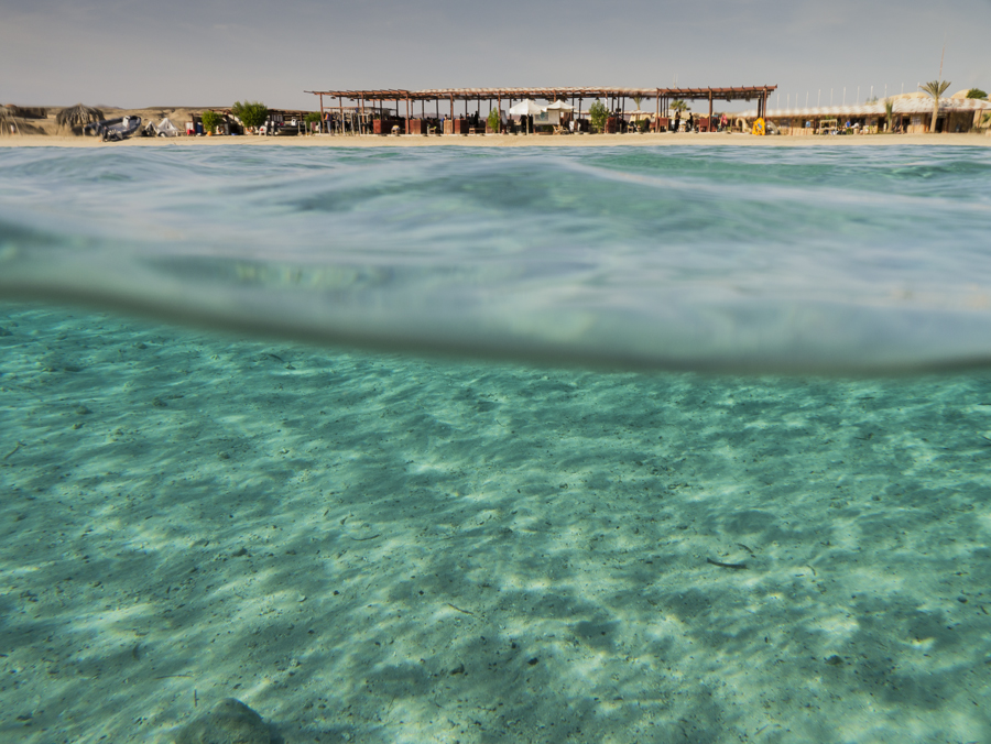 Marsa Shagra Shore
