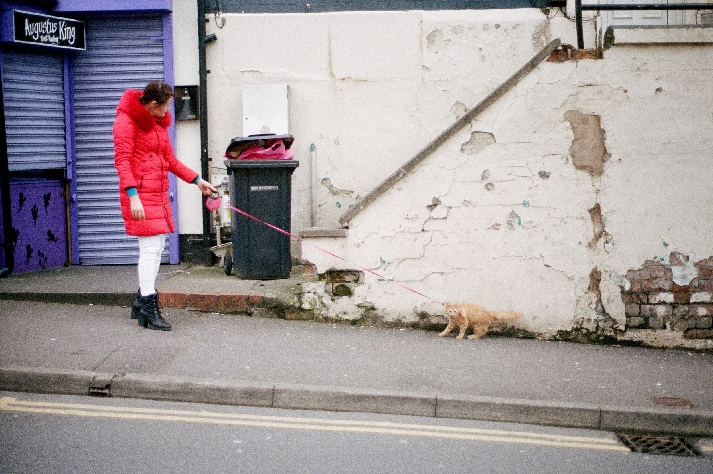 Cat Leash, Derby
