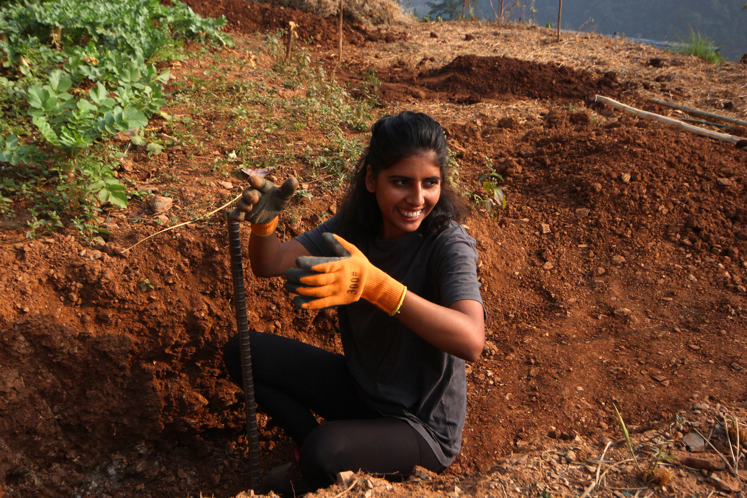ICS_NC6_HCVDigging.jpg