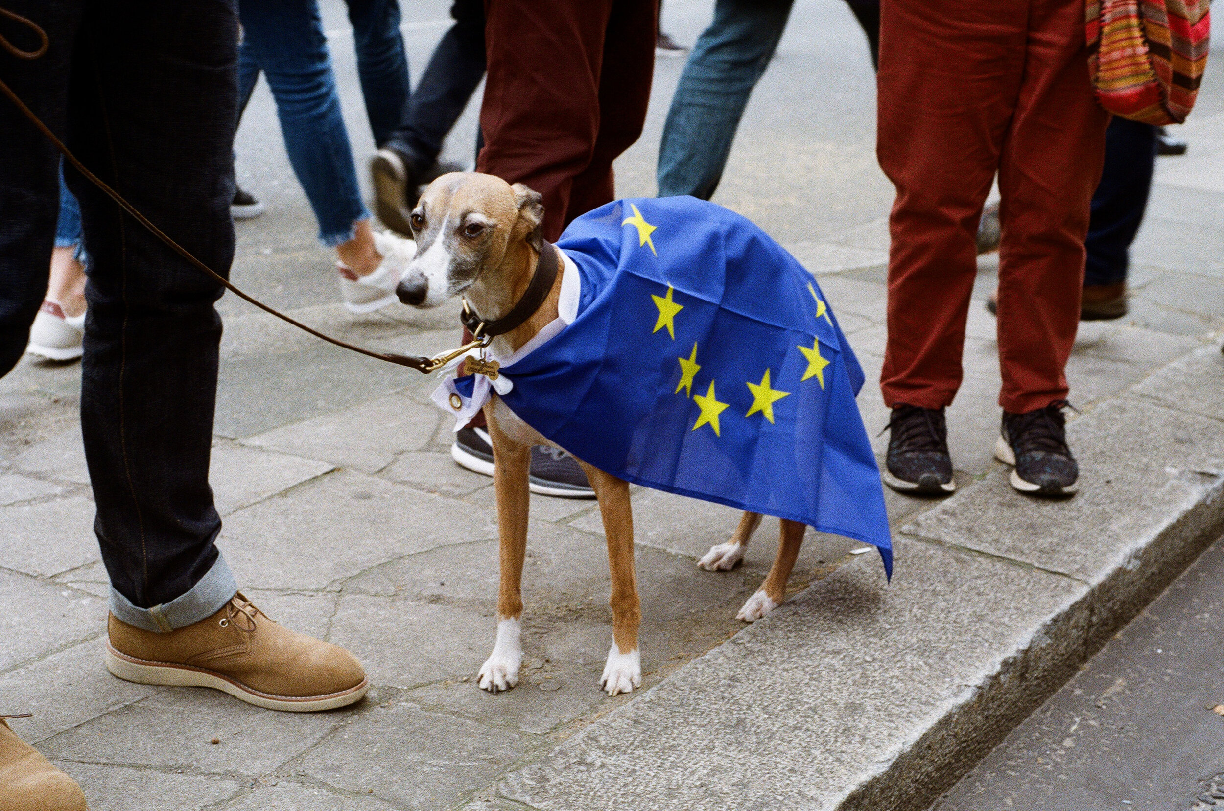 The People's March, London