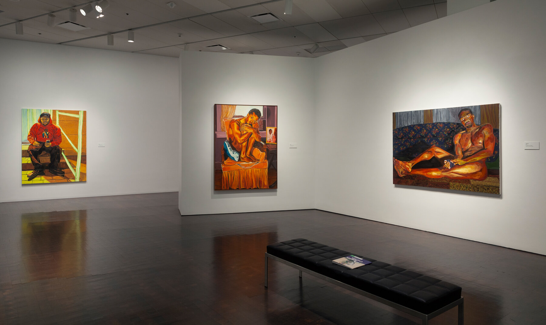  INSTALLATION VIEW: JORDAN CASTEEL, RETURNING THE GAZE, DENVER ART MUSEUM, DENVER, FEBRUARY 3 - JUNE 2, 2019 