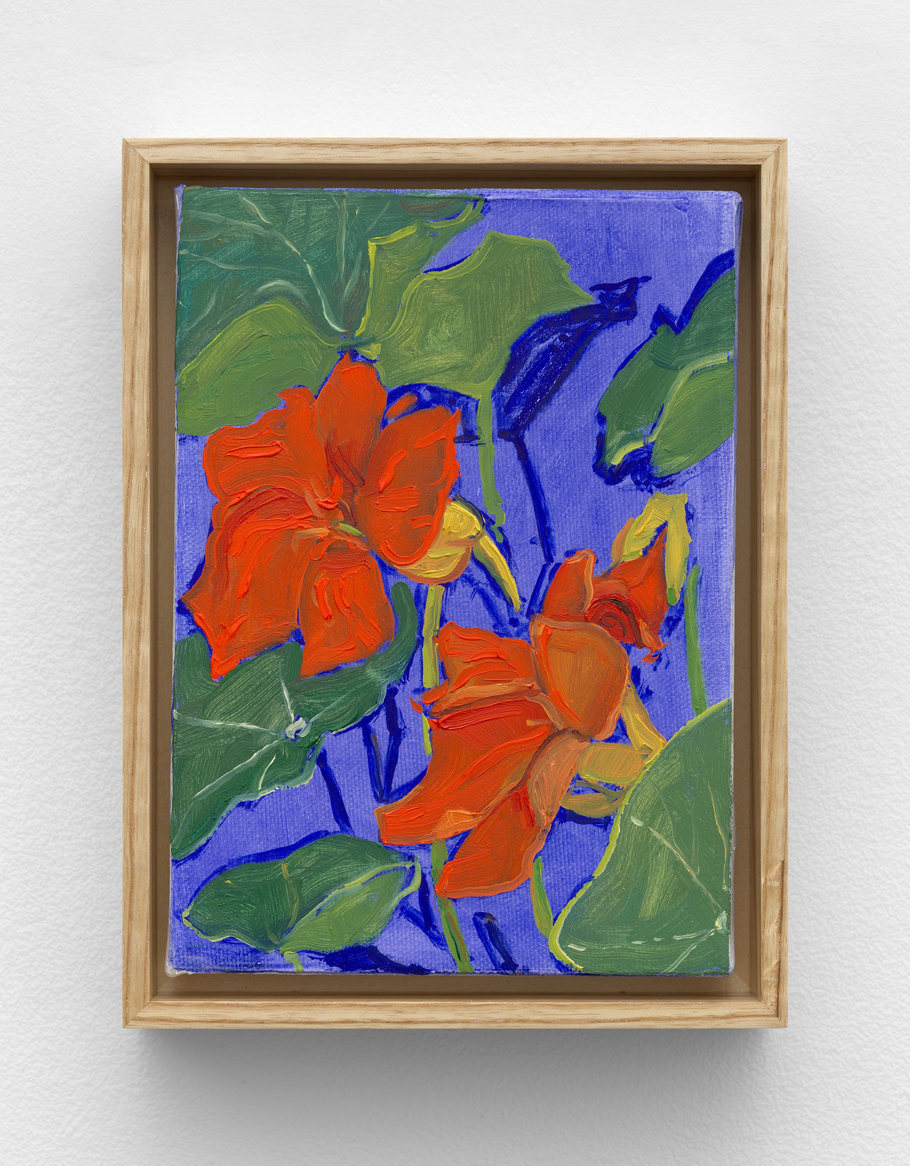 Garden (Nasturtium), 2023