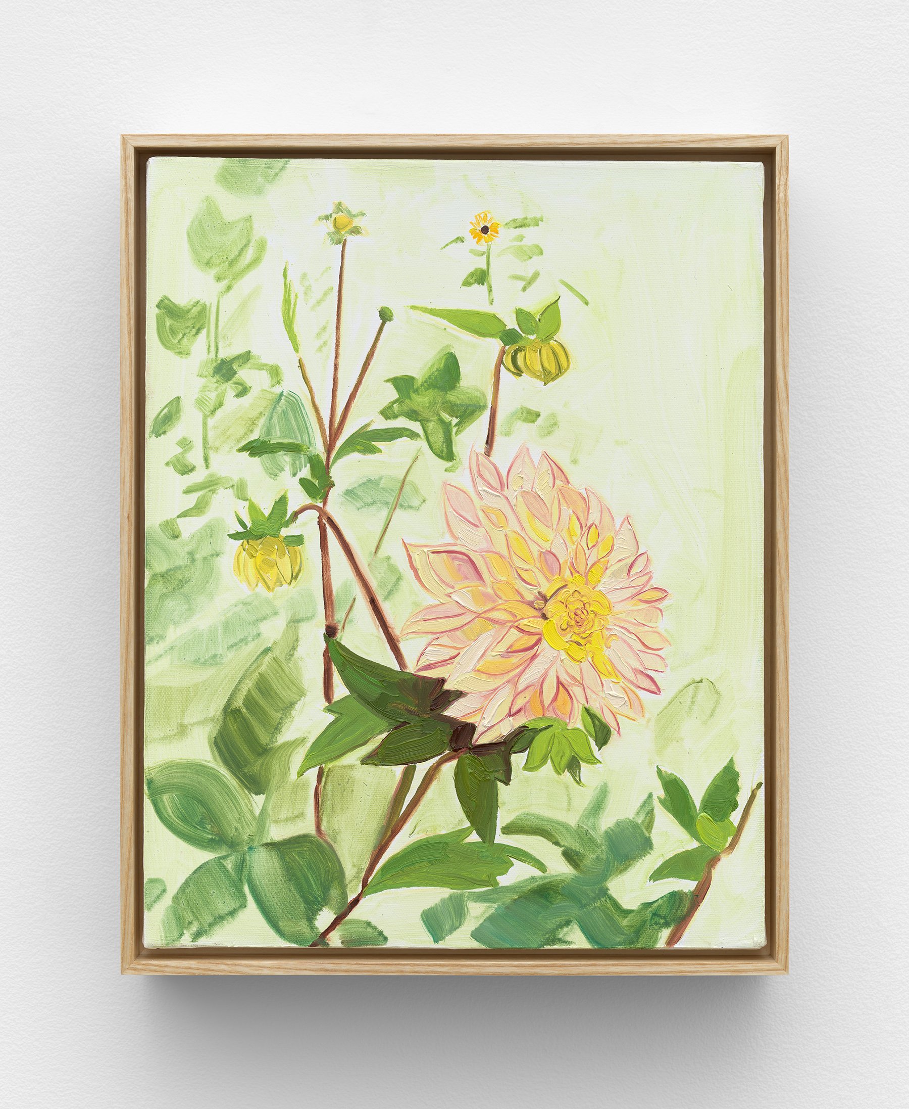 Garden (Dahlia), 2023