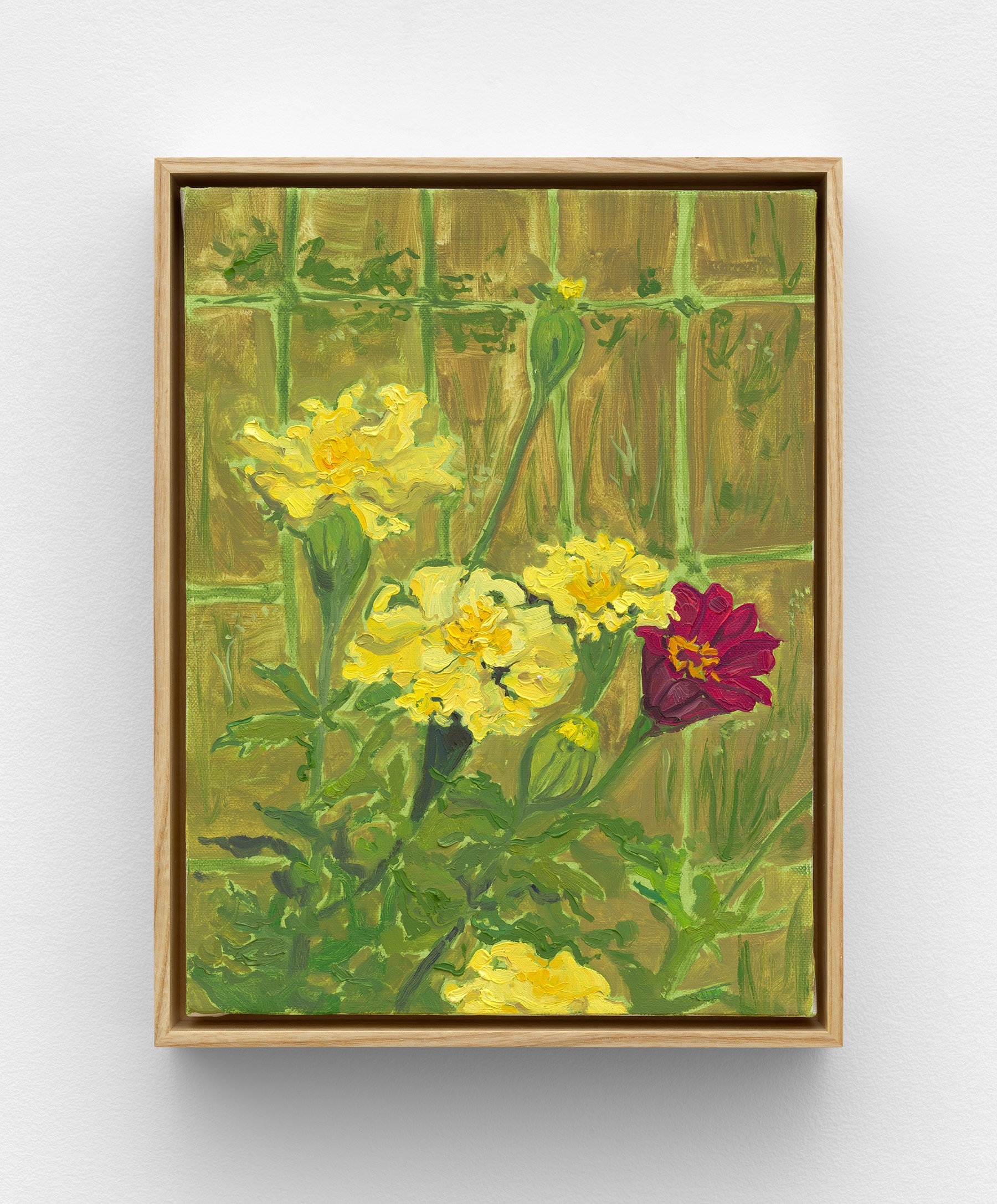 Garden (Zinnia), 2023