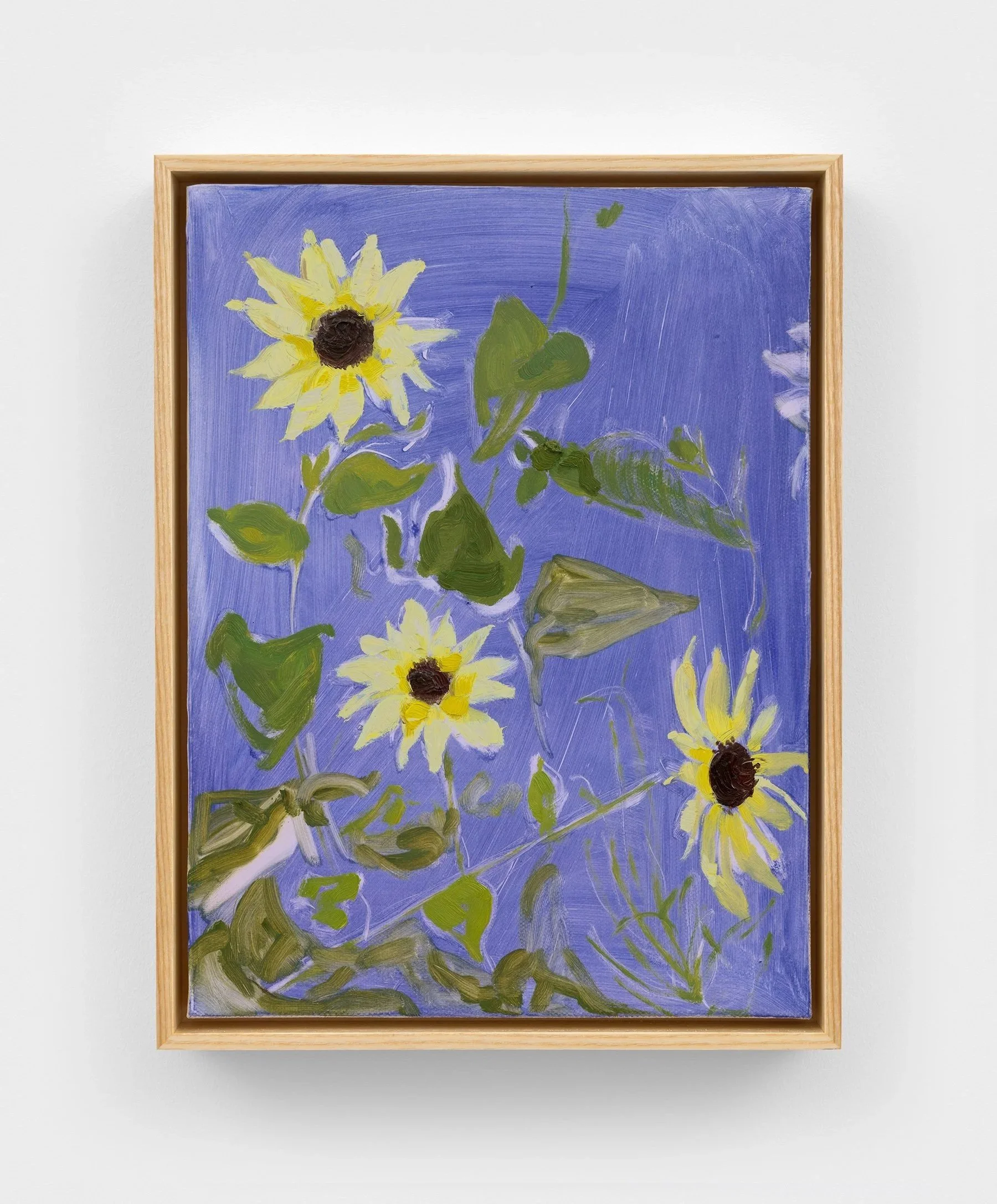 Sunflower (Italian White), 2025
