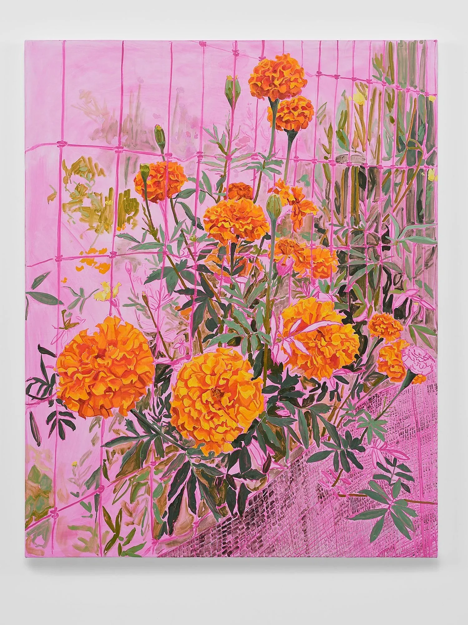 Marigold (Breakthrough), 2026