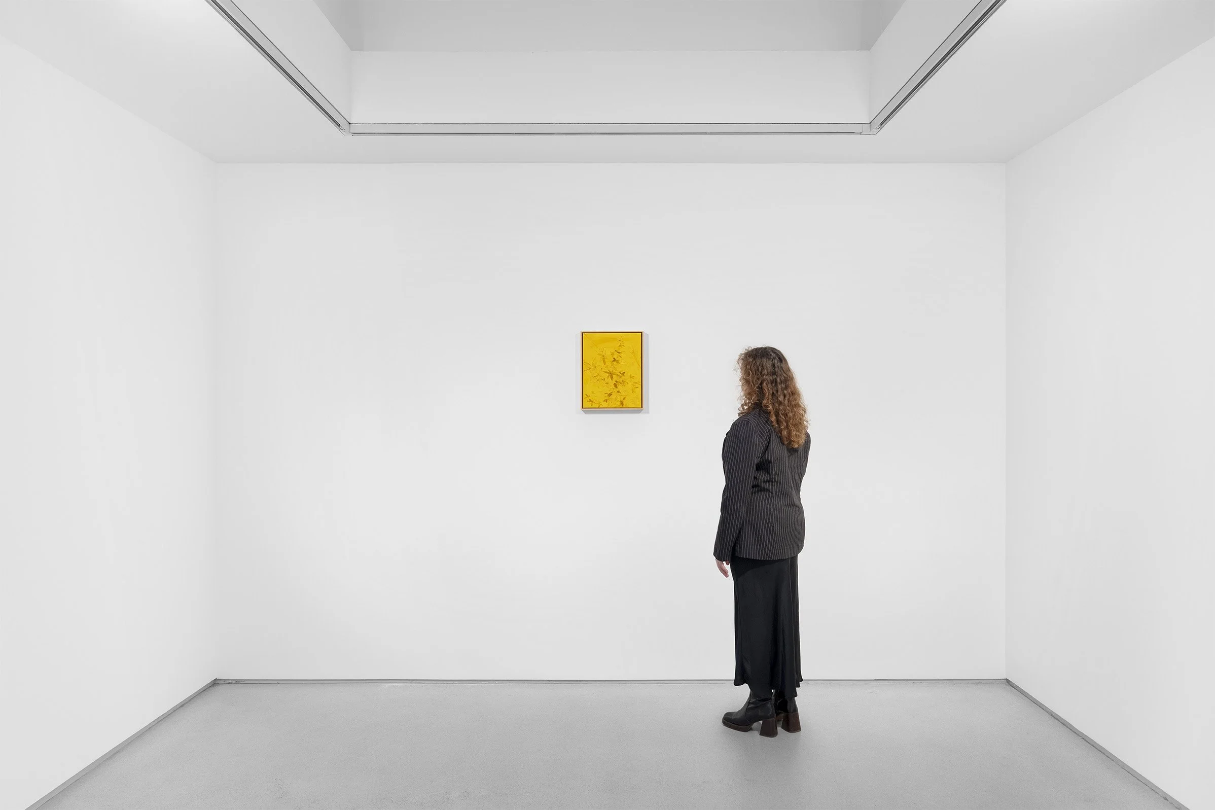   Winter Sun,  Thaddaeus Ropac, Paris Marais, October 19 - December 23, 2026 