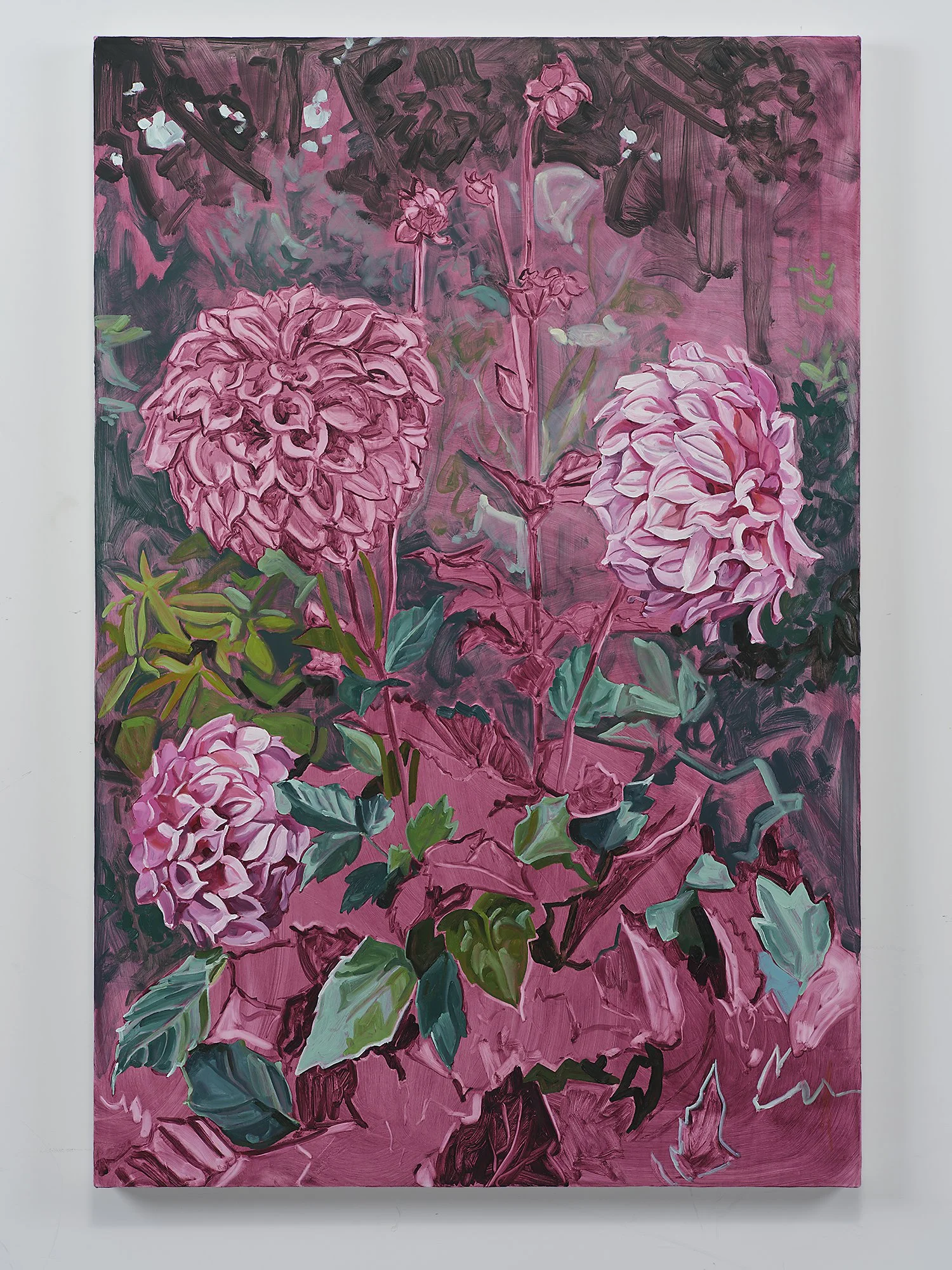 Moonlight Dahlia, 2026